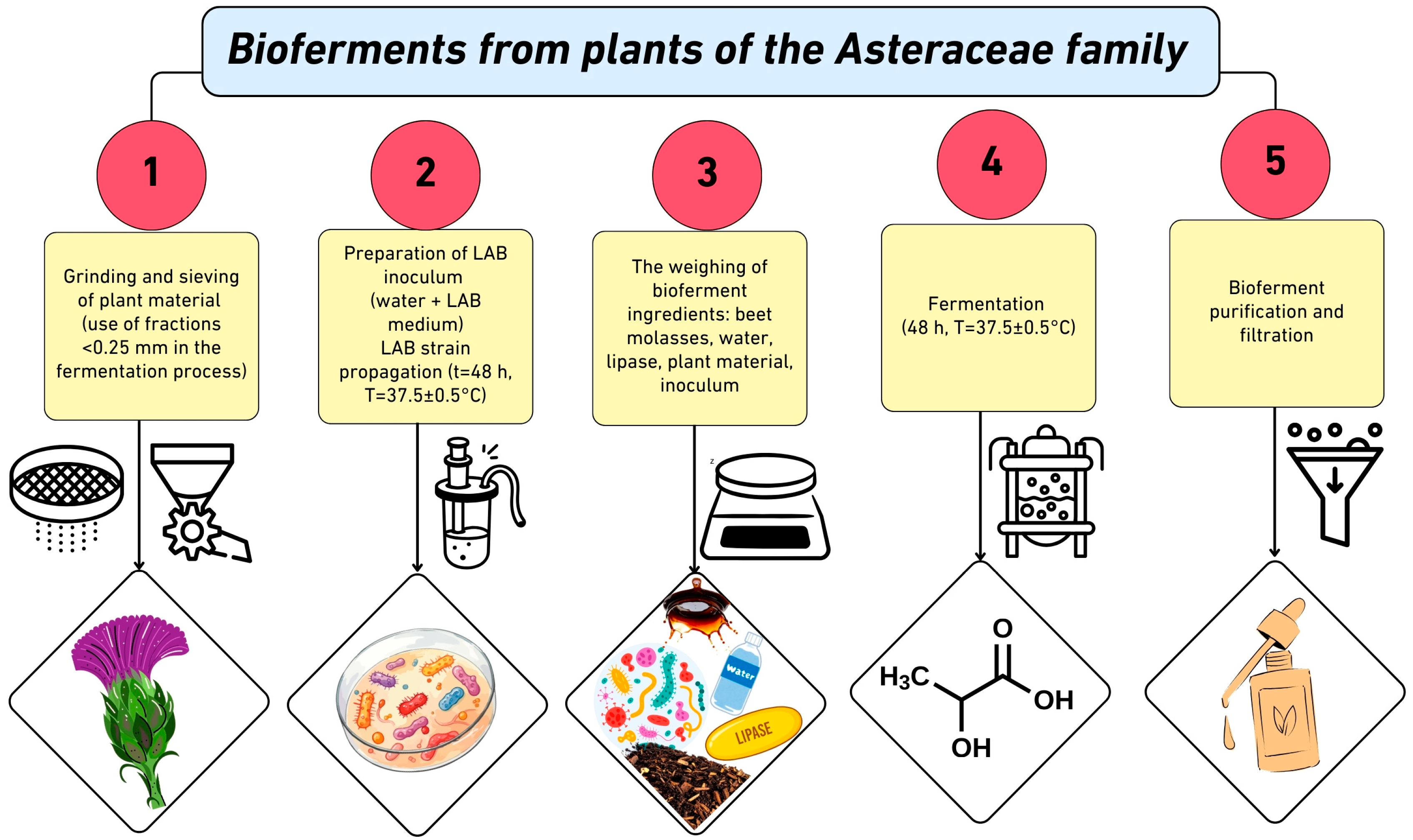 Applsci 16 00283 g005