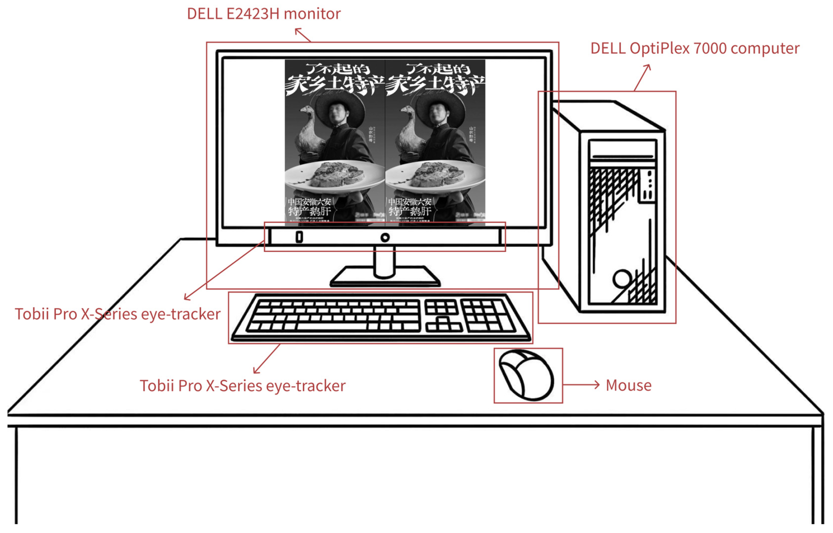 Applsci 16 00291 g004