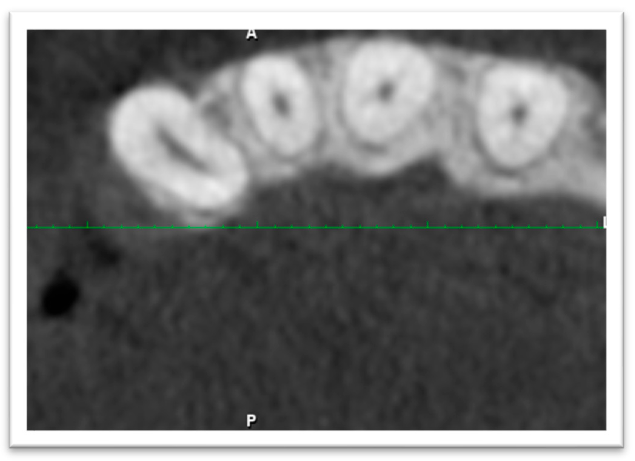 Applsci 16 00341 g007