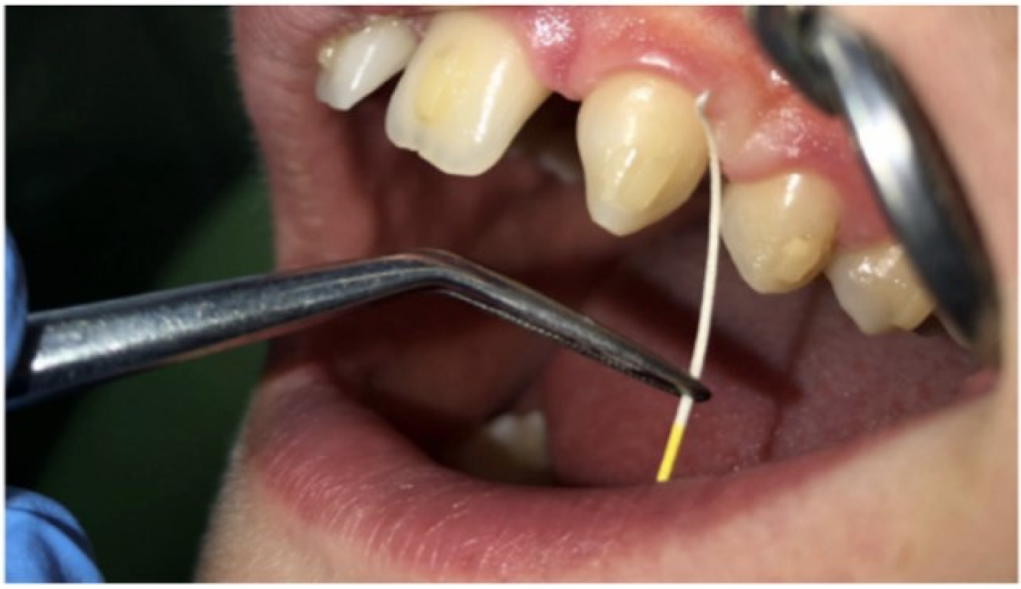 Applsci 16 00344 g002