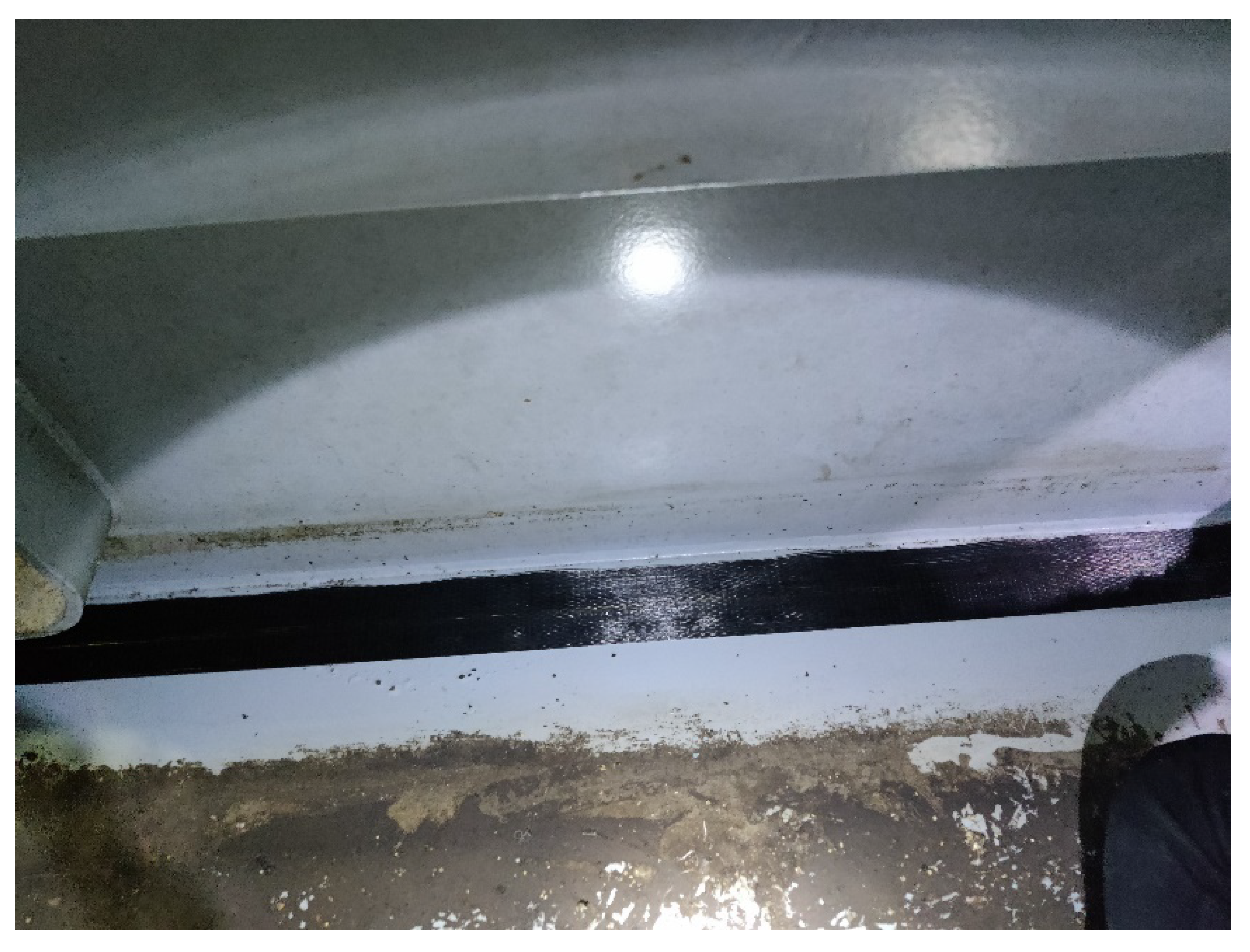 Applsci 16 00349 g004