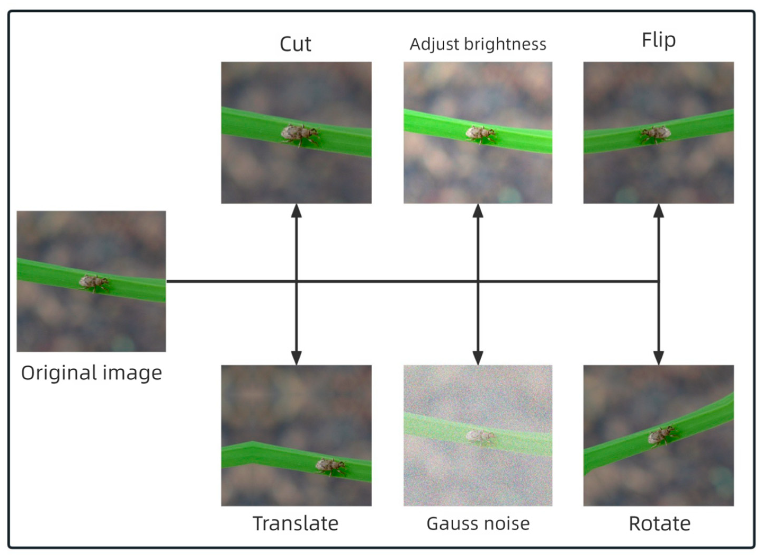 Applsci 16 00352 g002