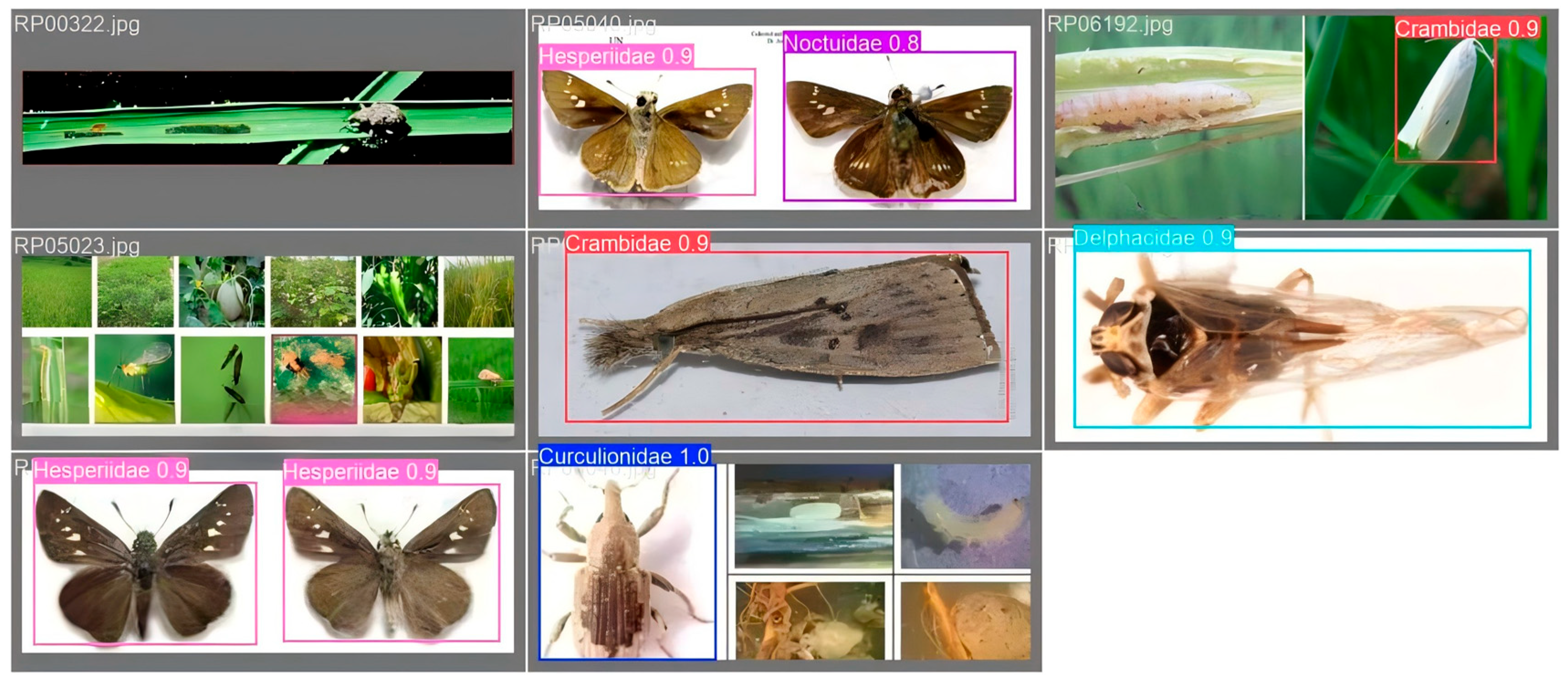 Applsci 16 00352 g020