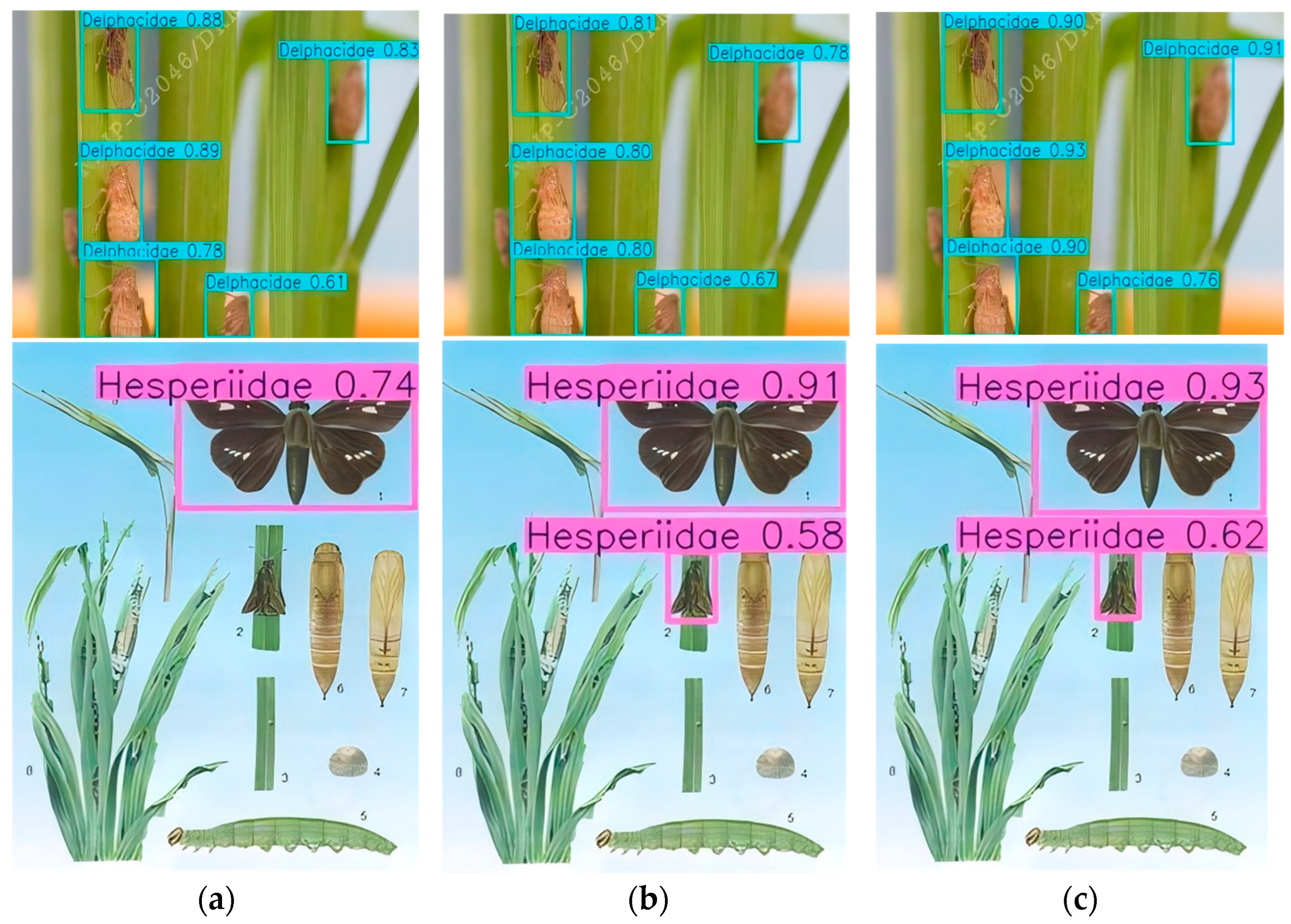 Applsci 16 00352 g022