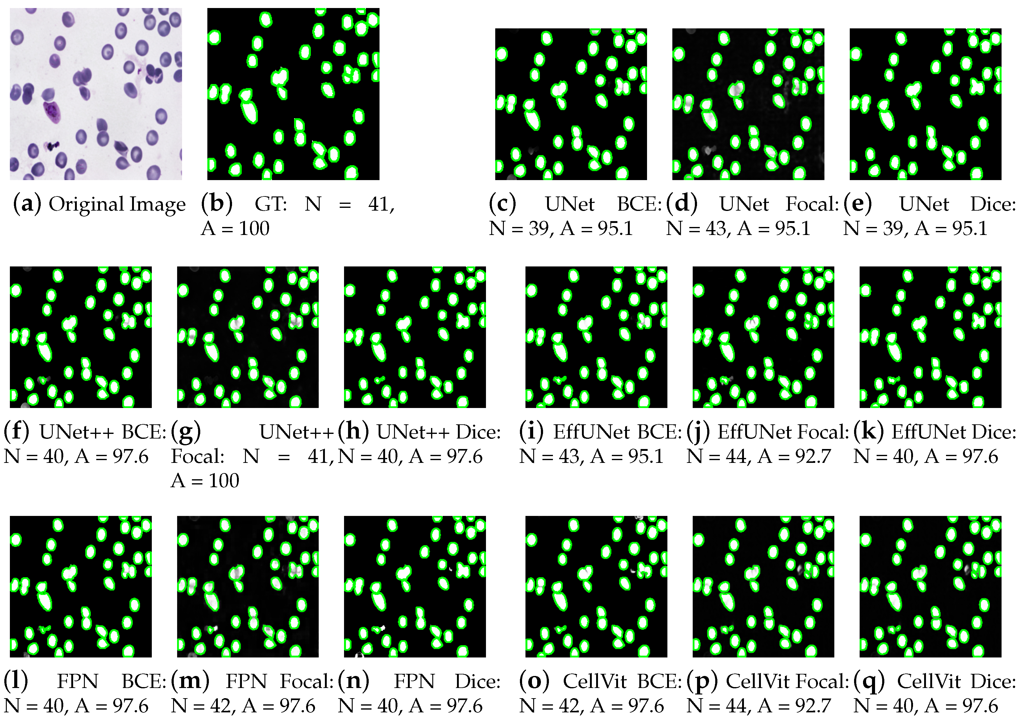 Applsci 16 00357 g002