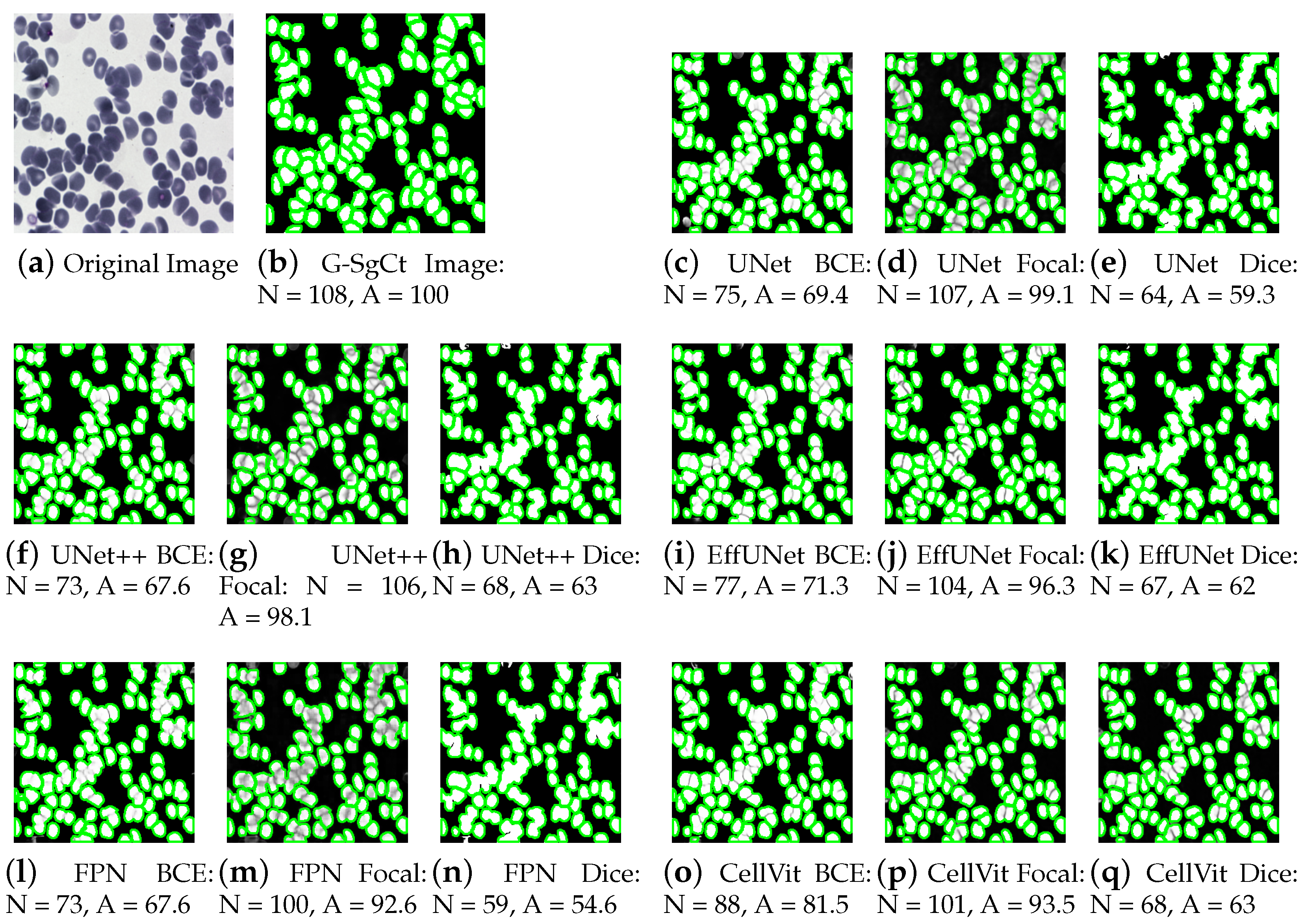 Applsci 16 00357 g003