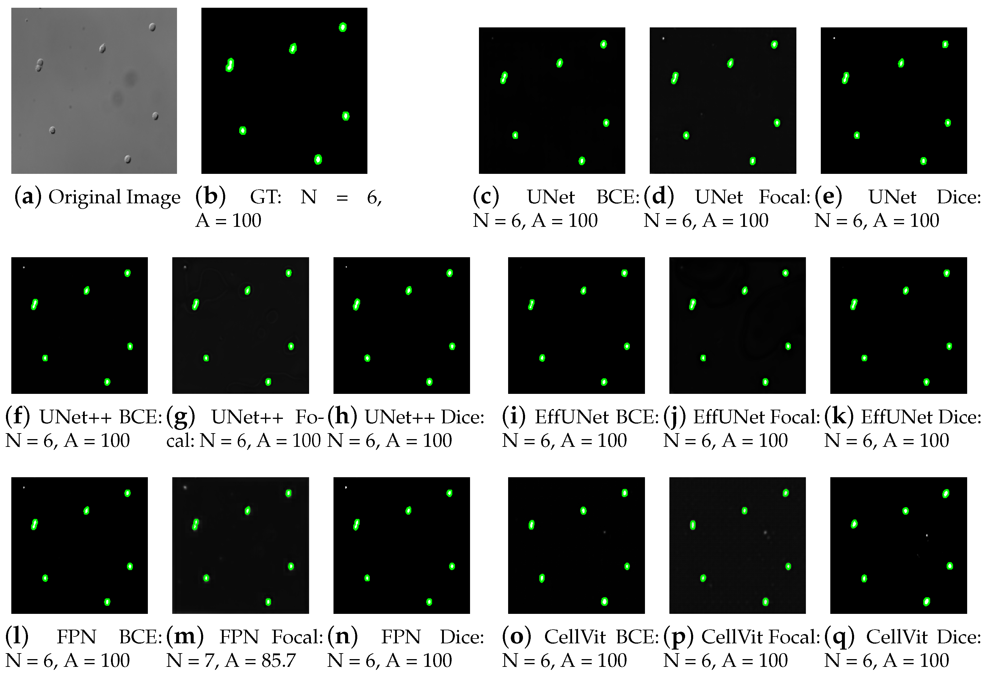 Applsci 16 00357 g004