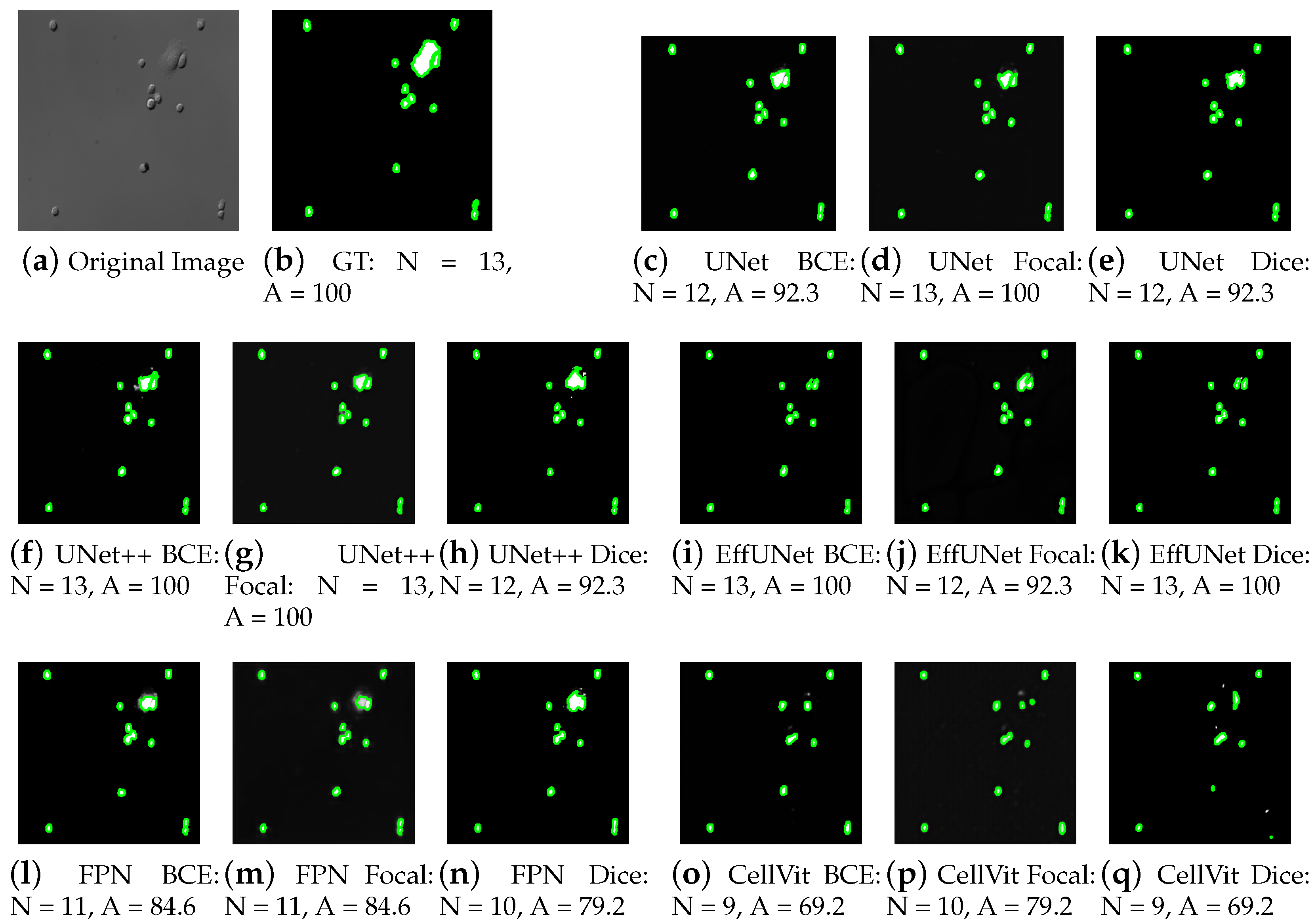 Applsci 16 00357 g005