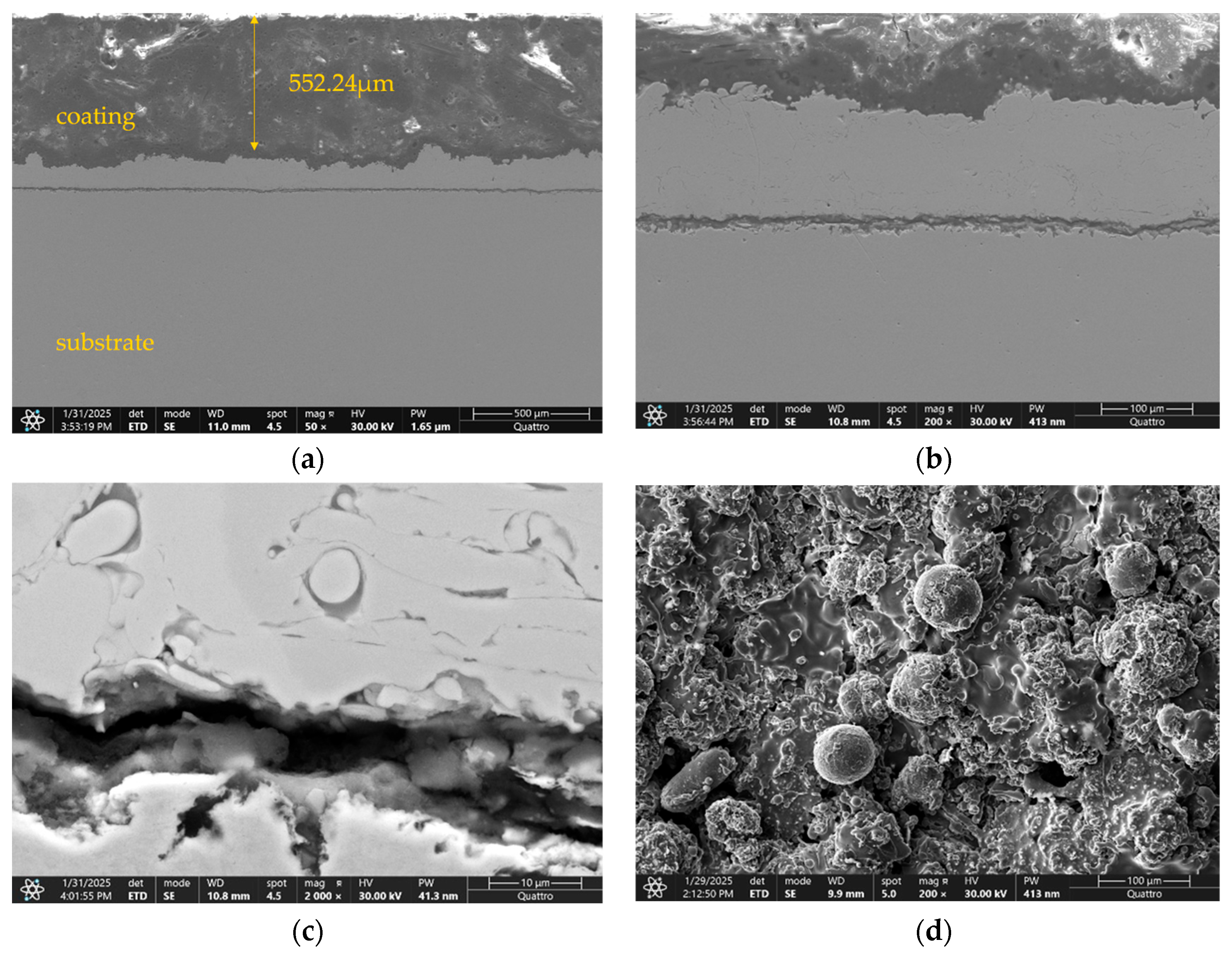 Applsci 16 00395 g005