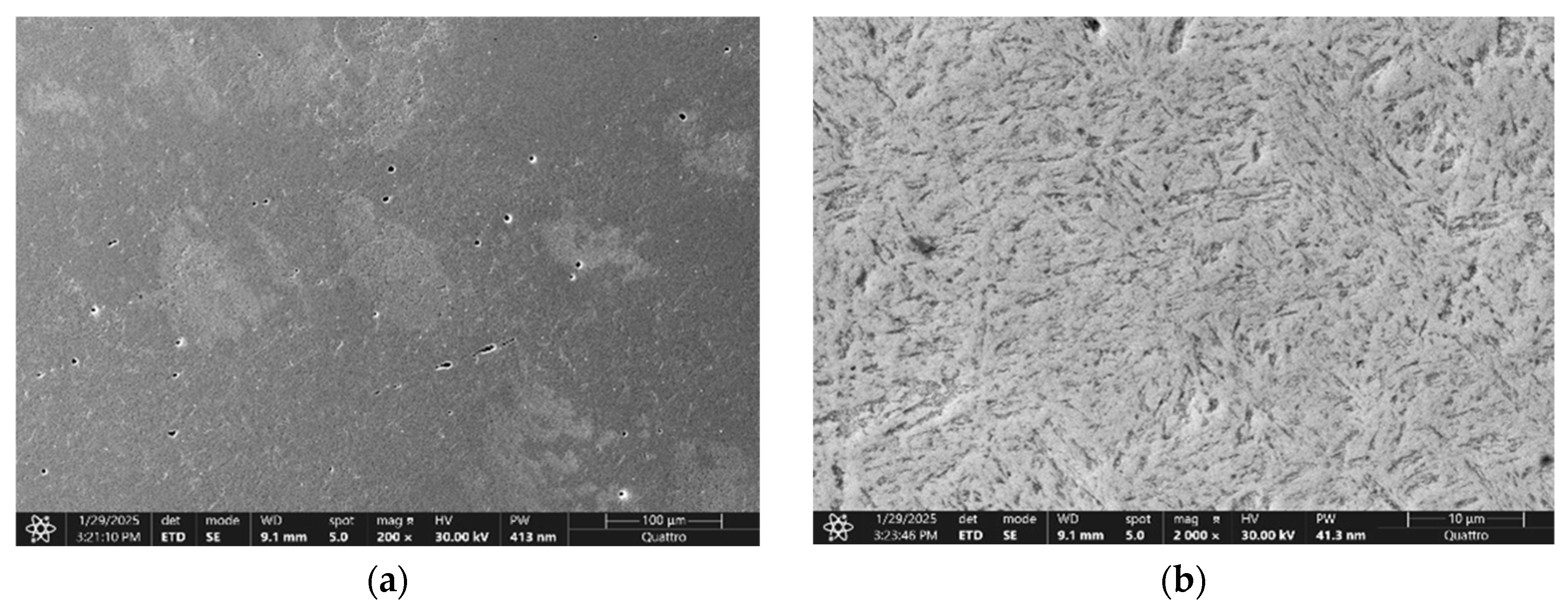 Applsci 16 00395 g006