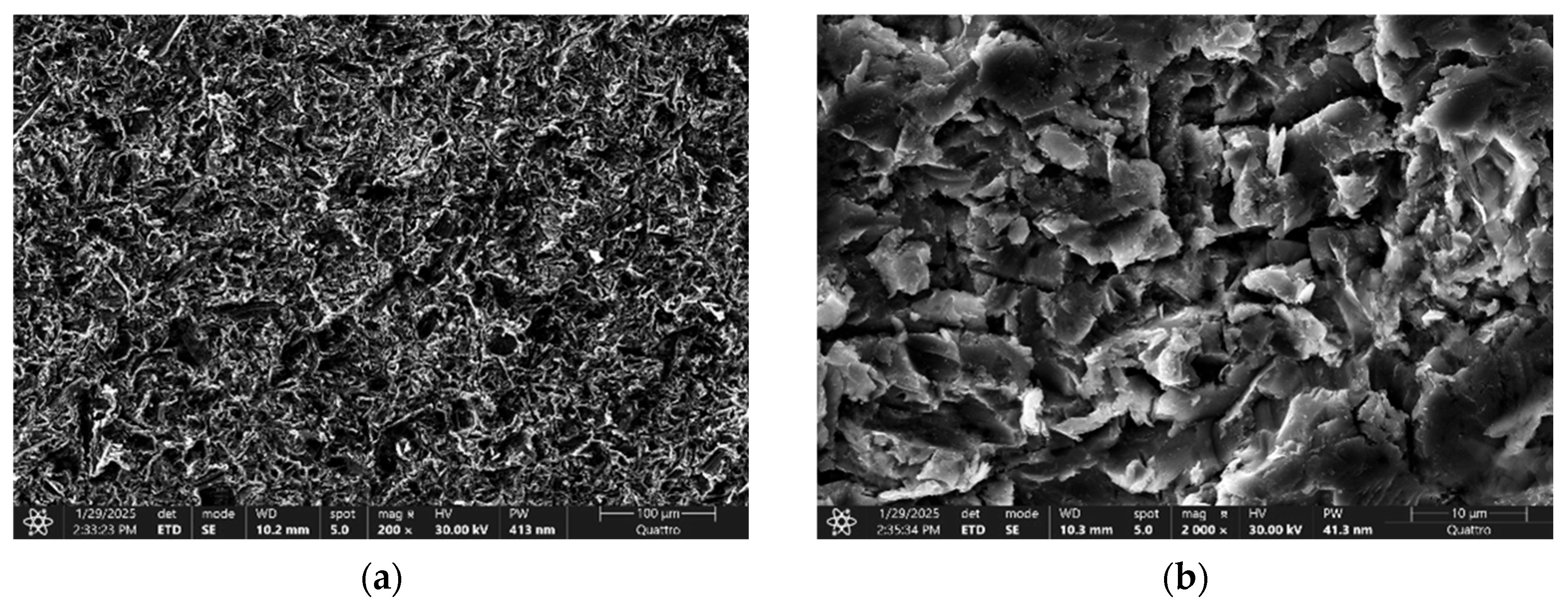 Applsci 16 00395 g007