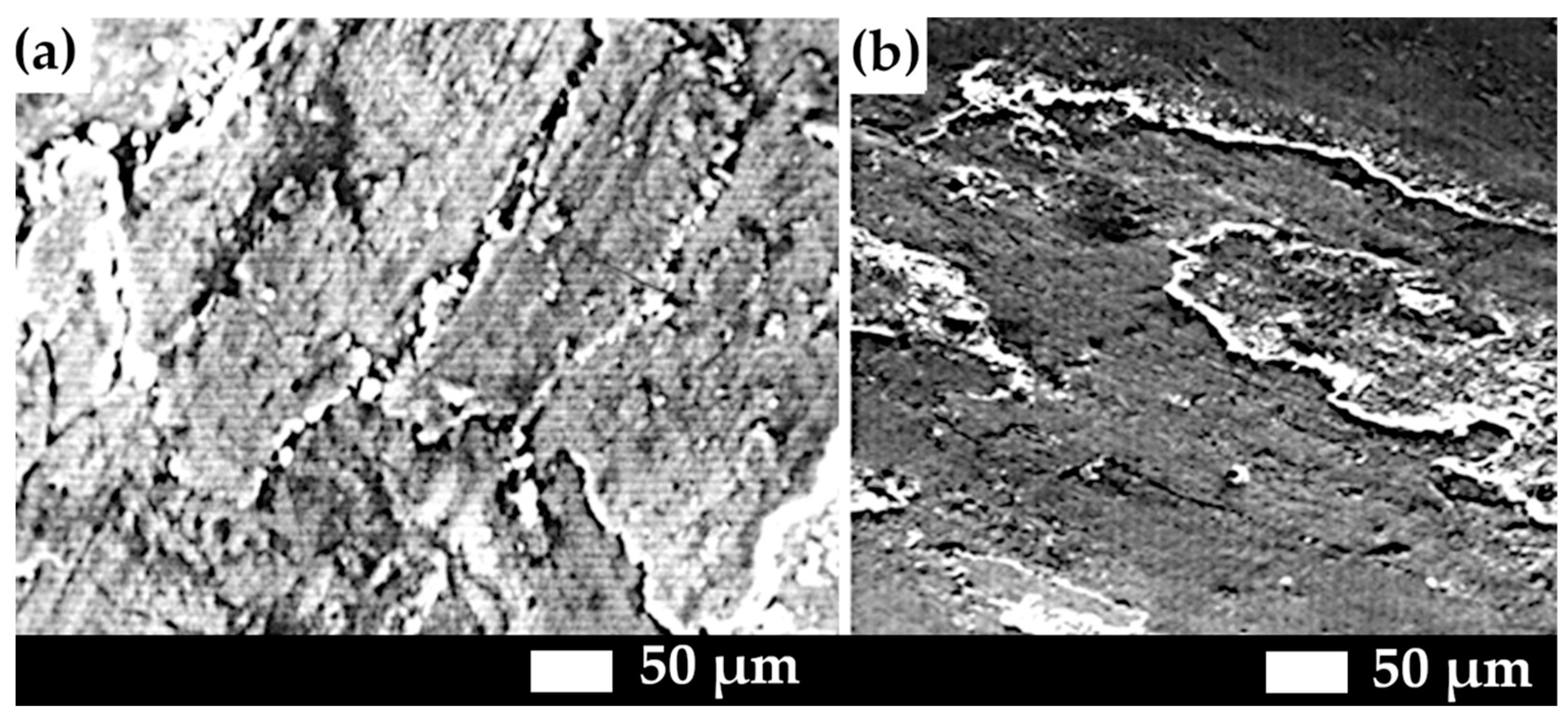 Applsci 16 00415 g006 Applsci 16 00415 g006