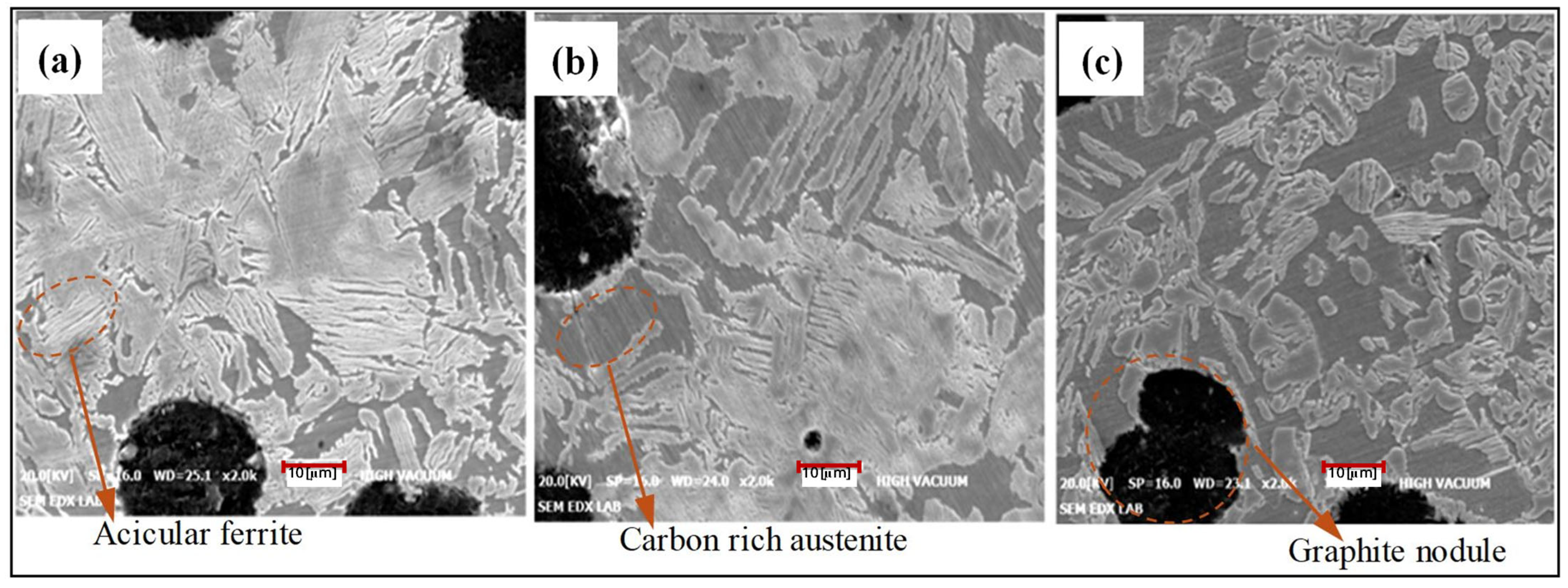 Applsci 16 00420 g006