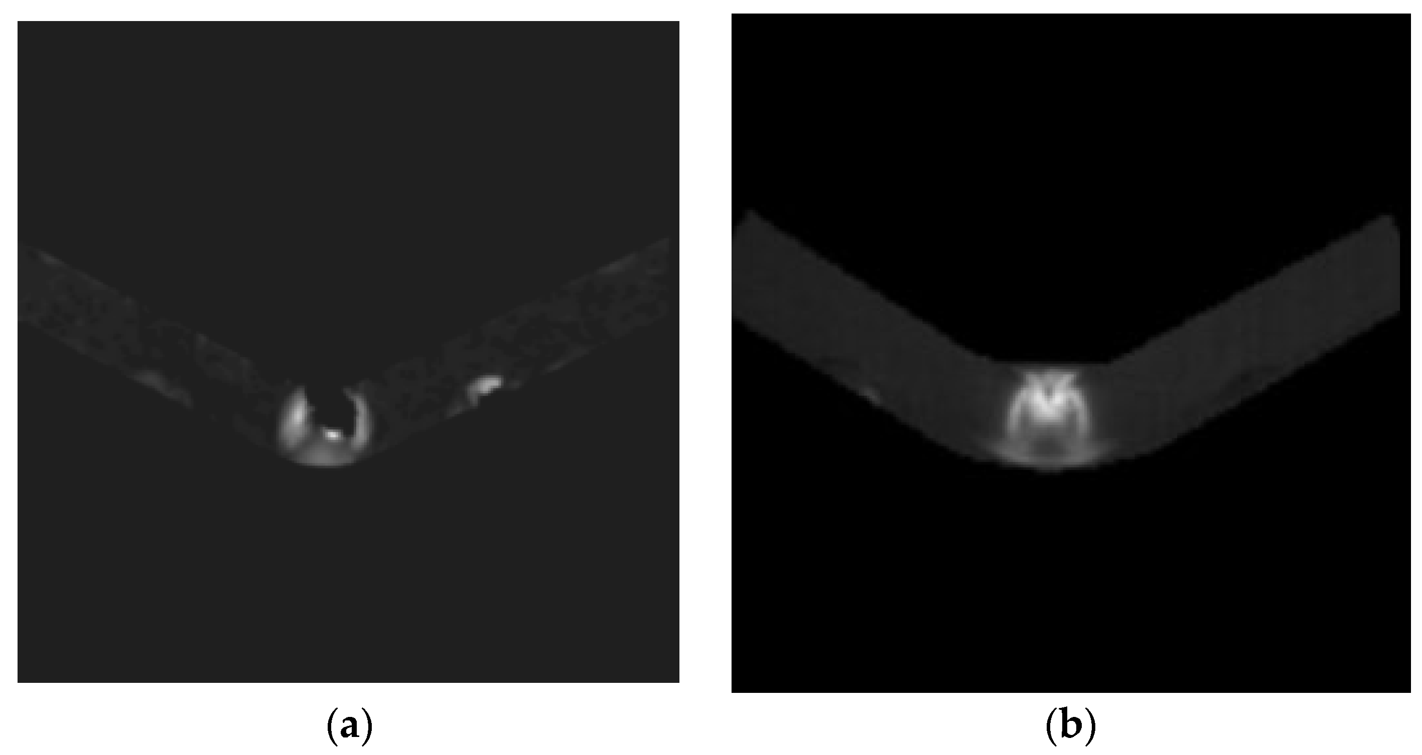 Applsci 16 00460 g005a