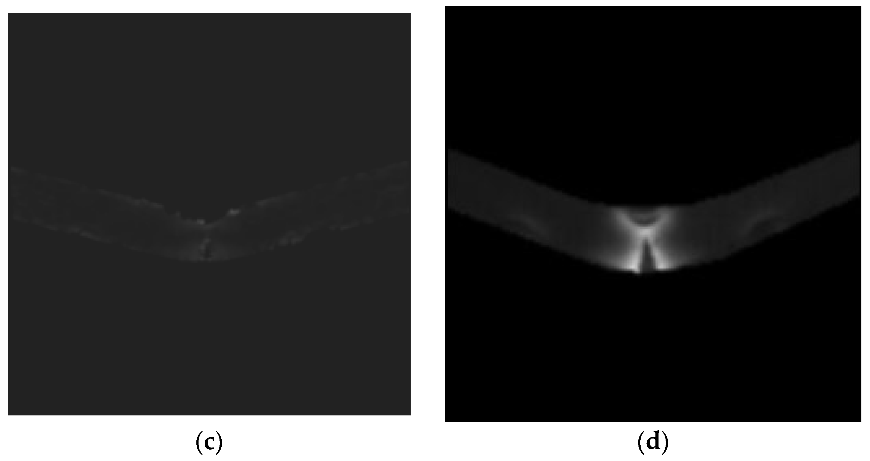 Applsci 16 00460 g005b