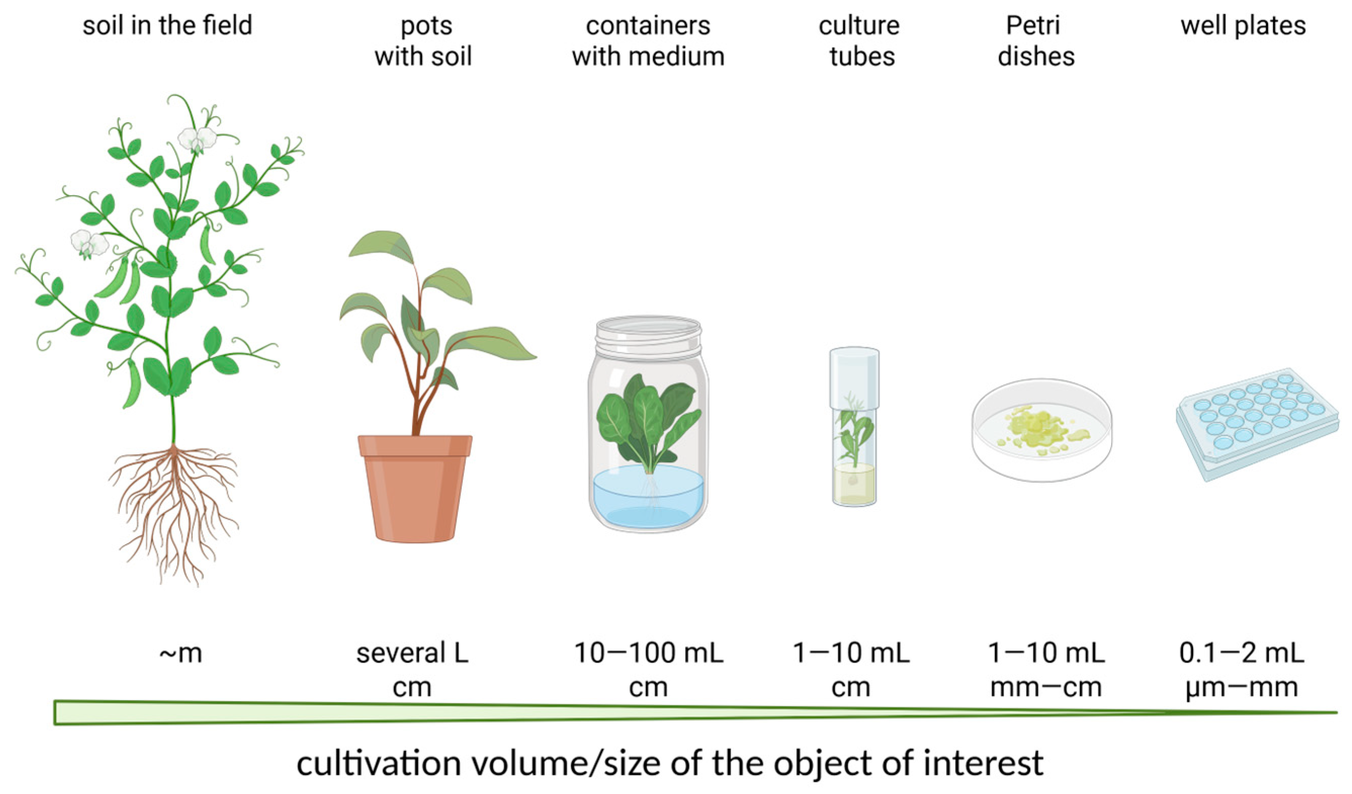 Applsci 16 00464 g001 Applsci 16 00464 g001