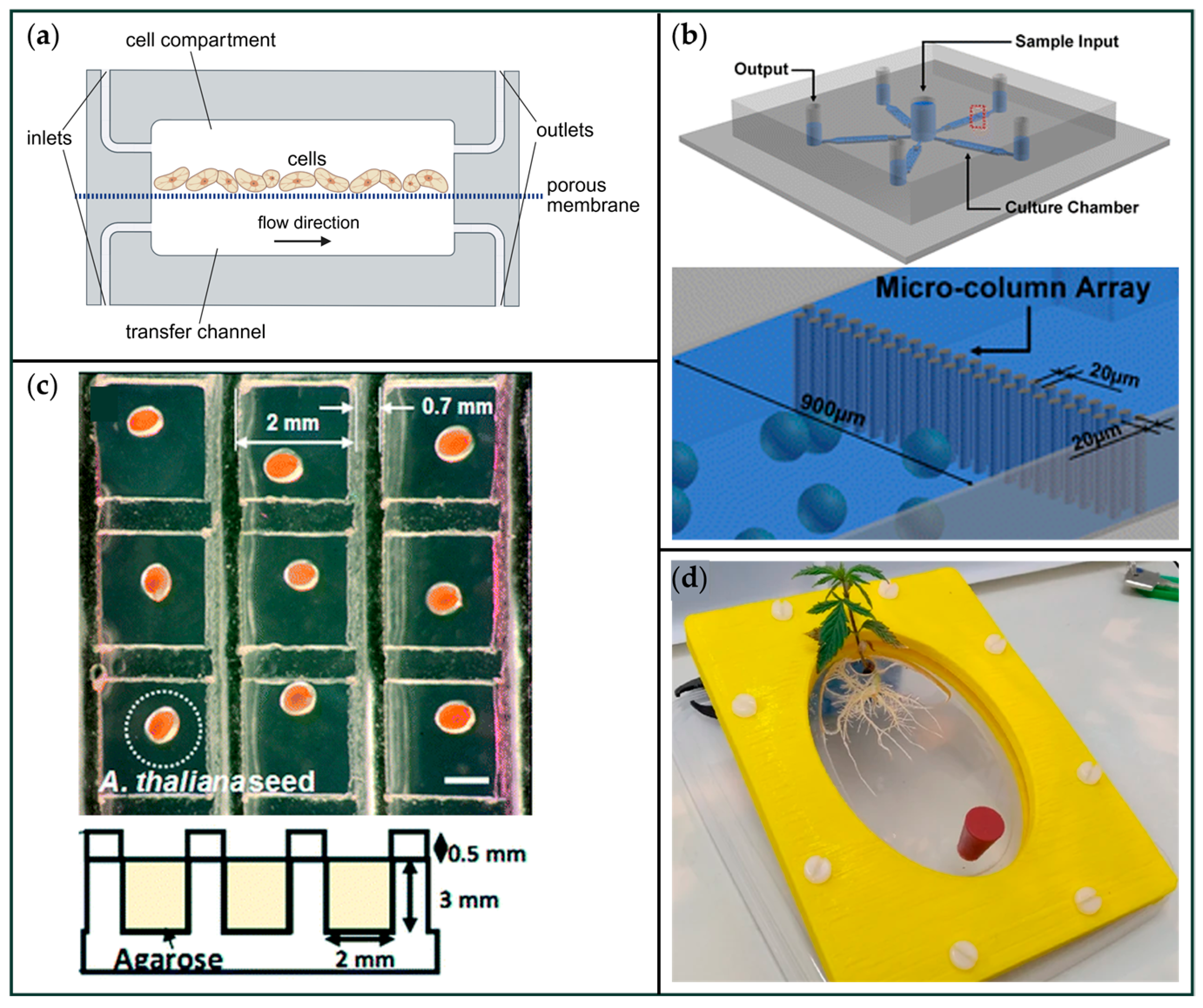 Applsci 16 00464 g002 Applsci 16 00464 g002