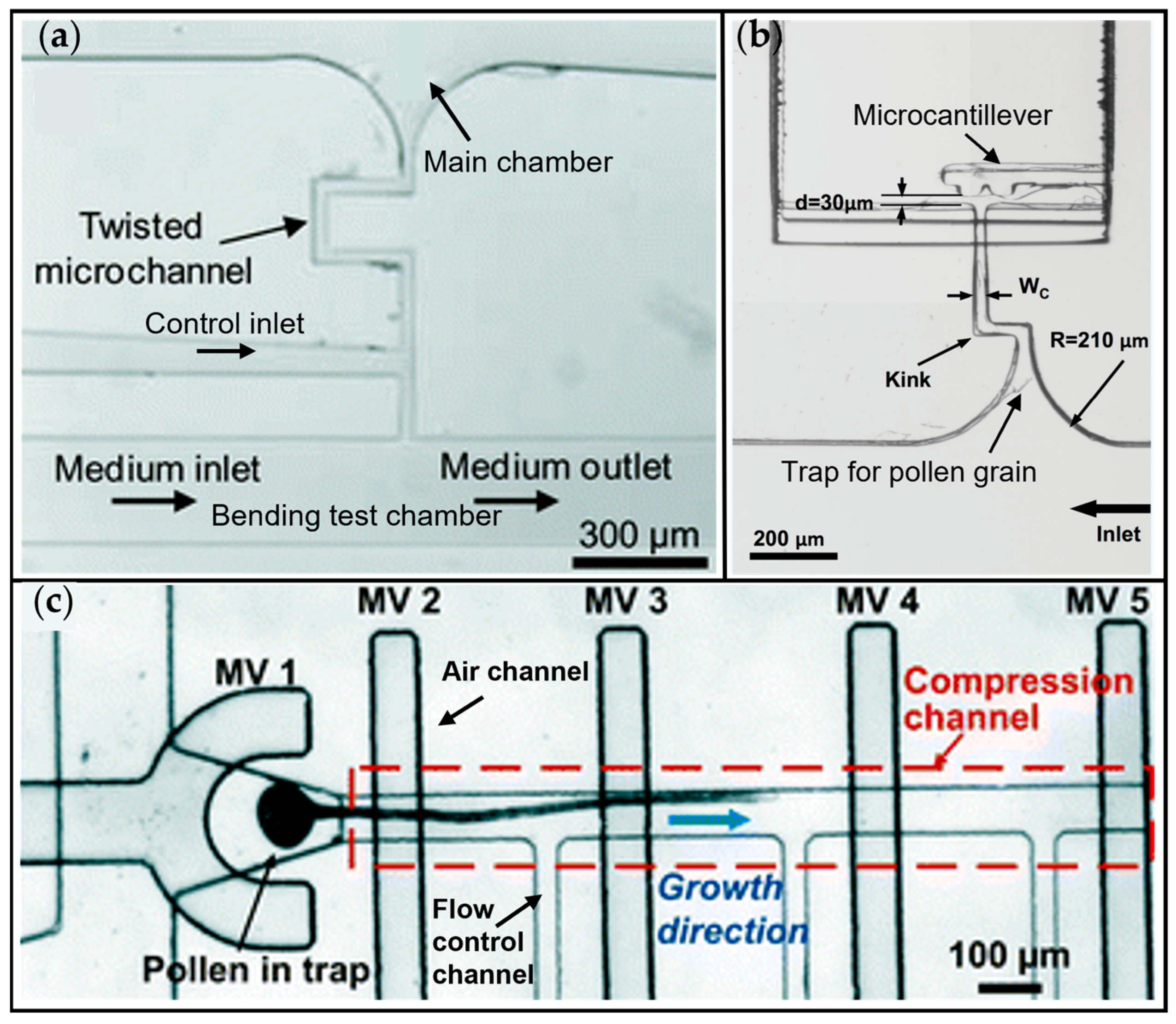Applsci 16 00464 g005 Applsci 16 00464 g005