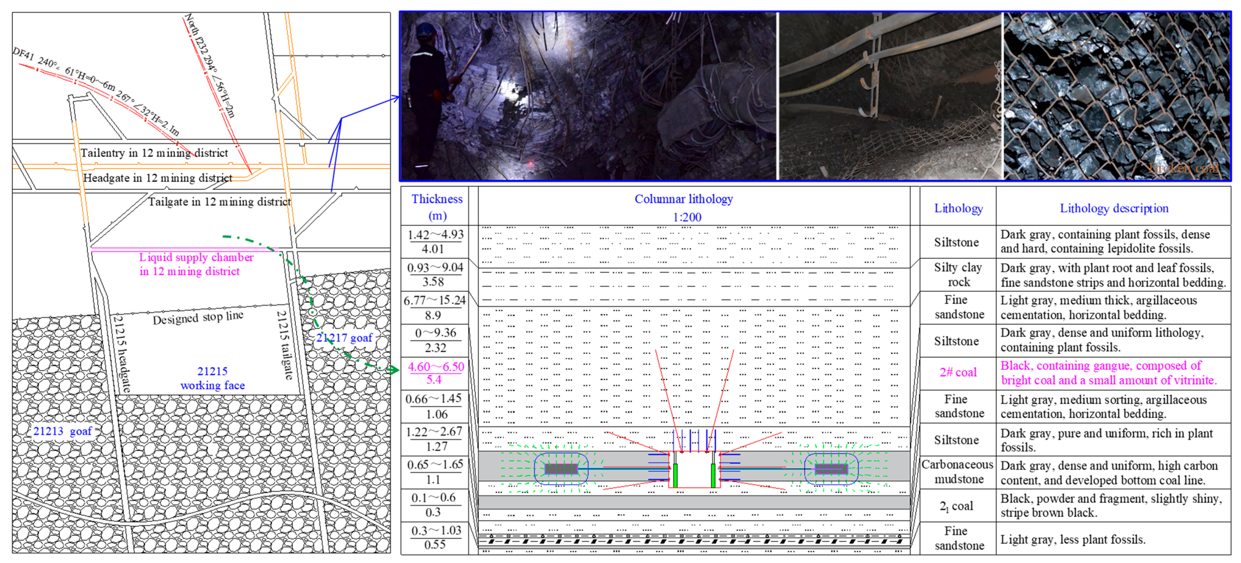 Applsci 16 00469 g002