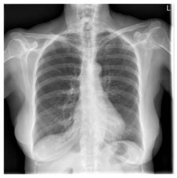 Applsci 16 00470 i001