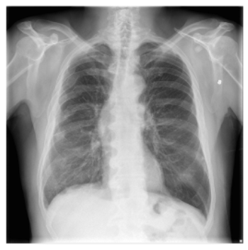 Applsci 16 00470 i002