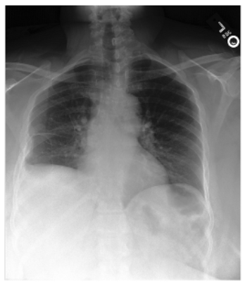 Applsci 16 00470 i004