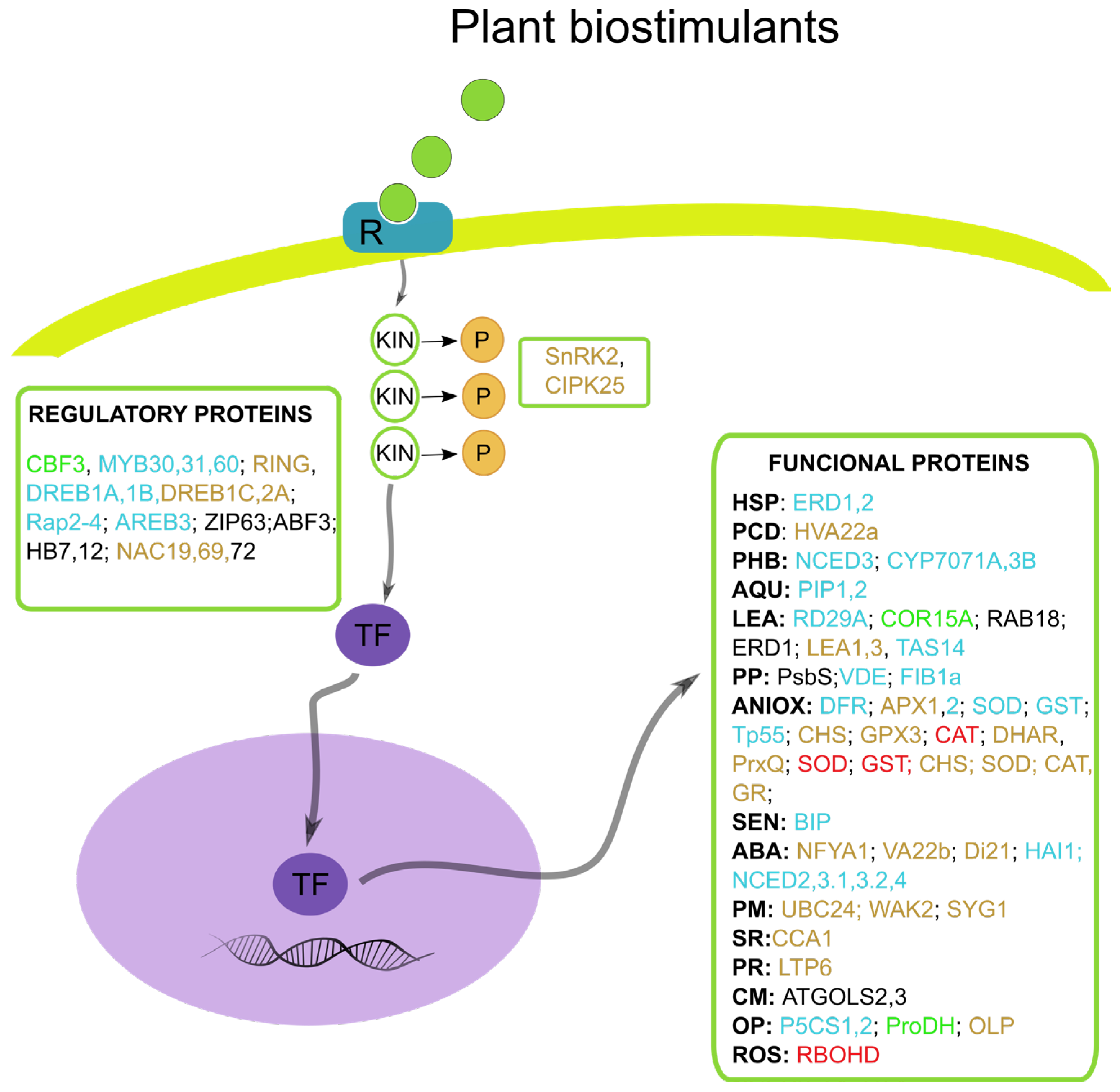 Applsci 16 00490 g003 Applsci 16 00490 g003