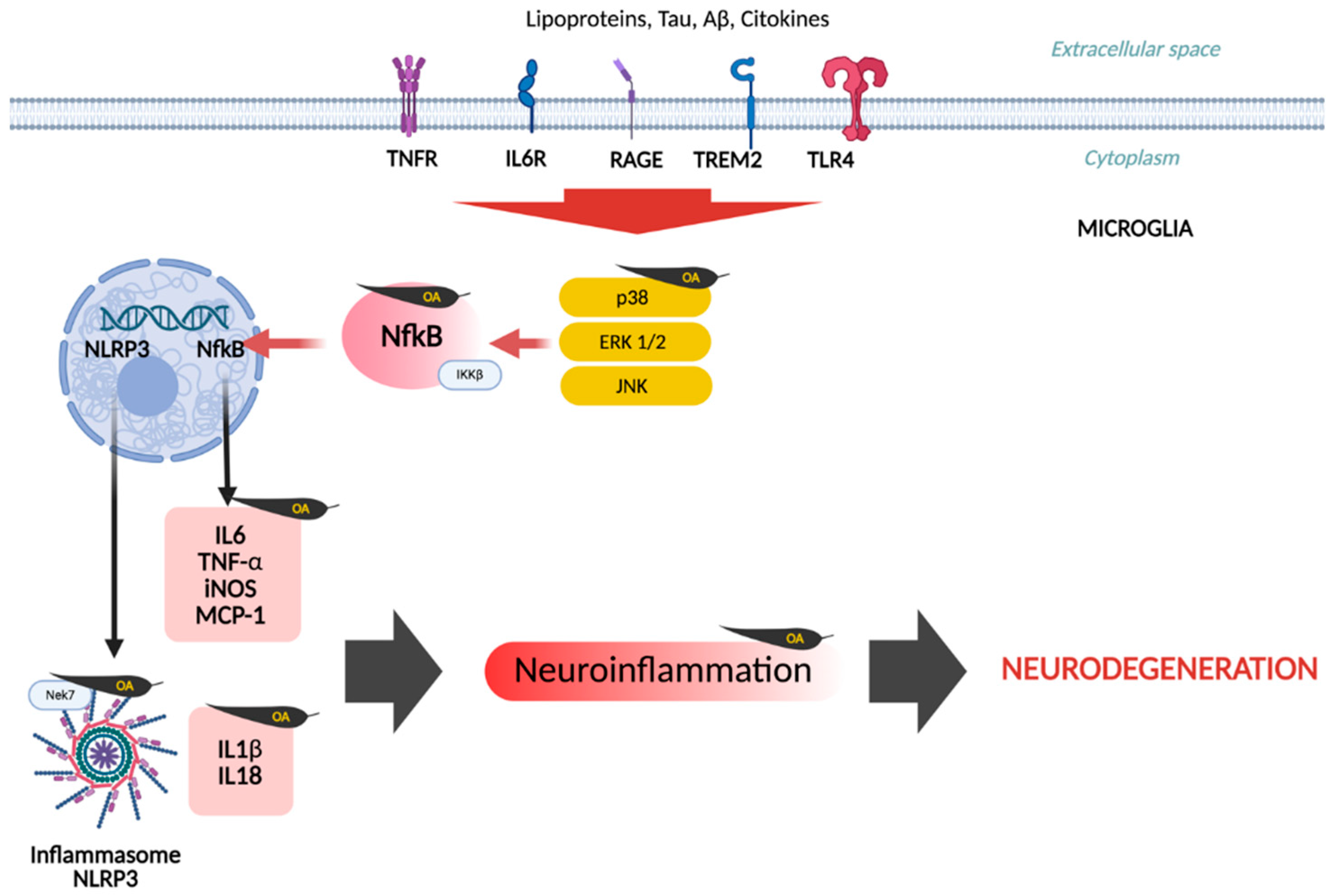 Applsci 16 00494 g005 Applsci 16 00494 g005