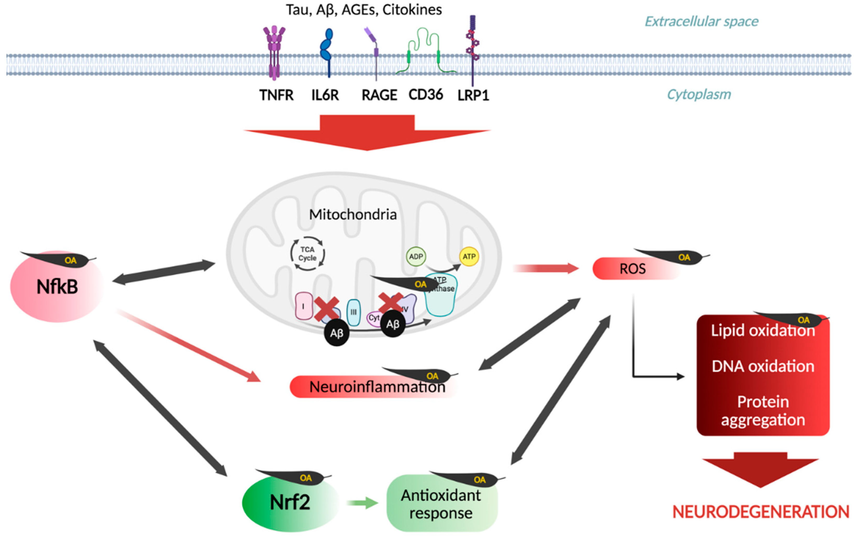 Applsci 16 00494 g006 Applsci 16 00494 g006