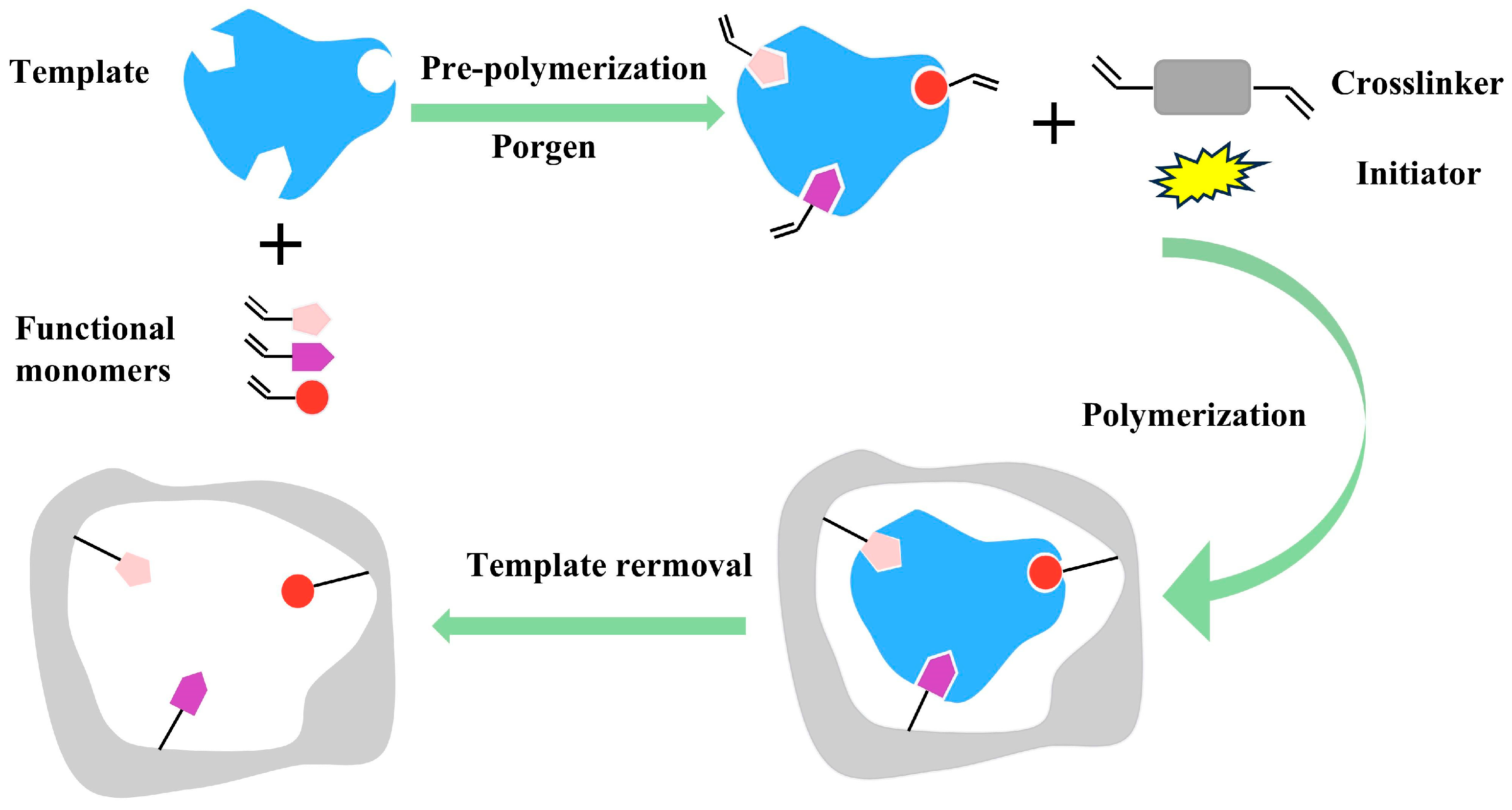 Applsci 16 00498 g002 Applsci 16 00498 g002