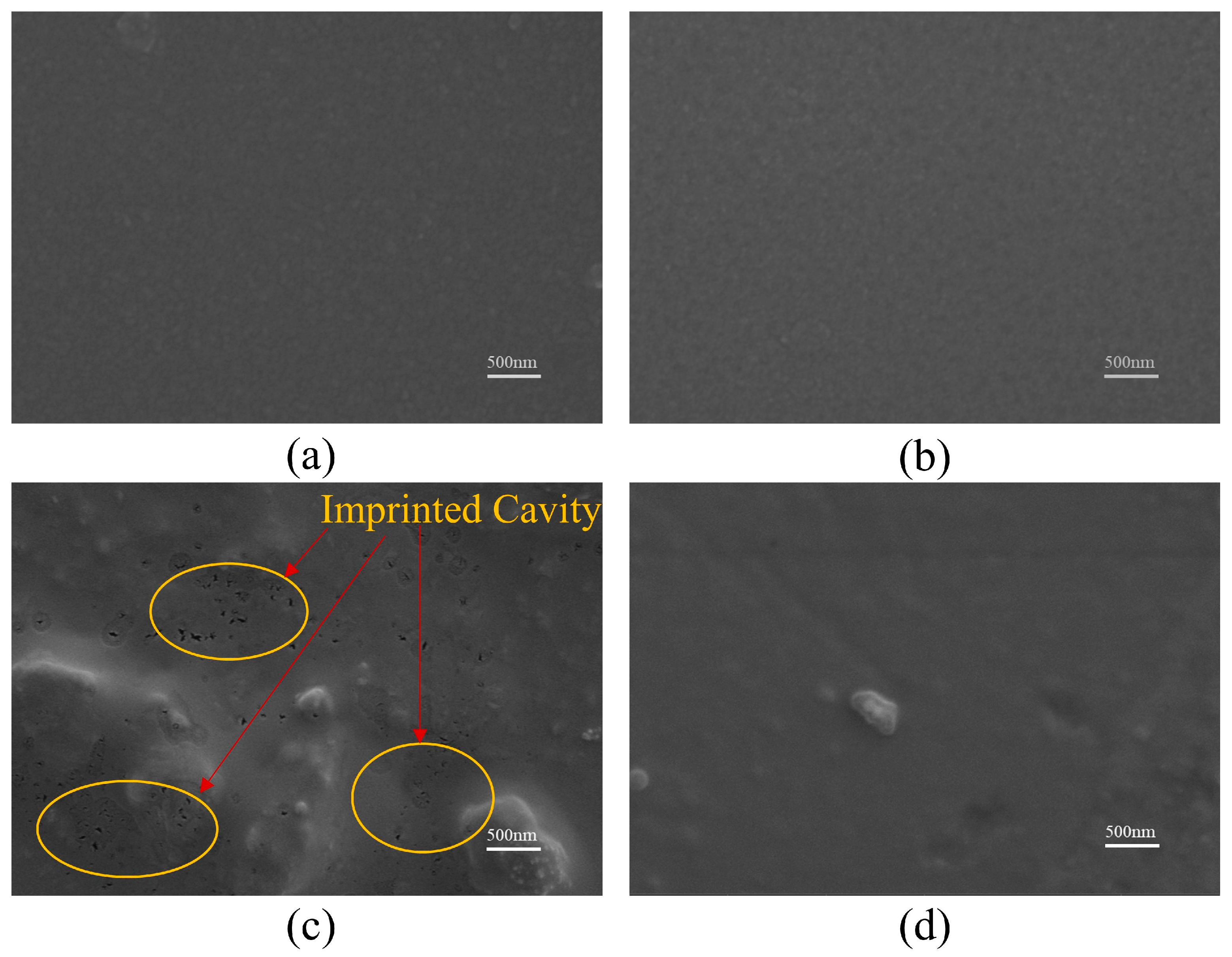 Applsci 16 00498 g006 Applsci 16 00498 g006