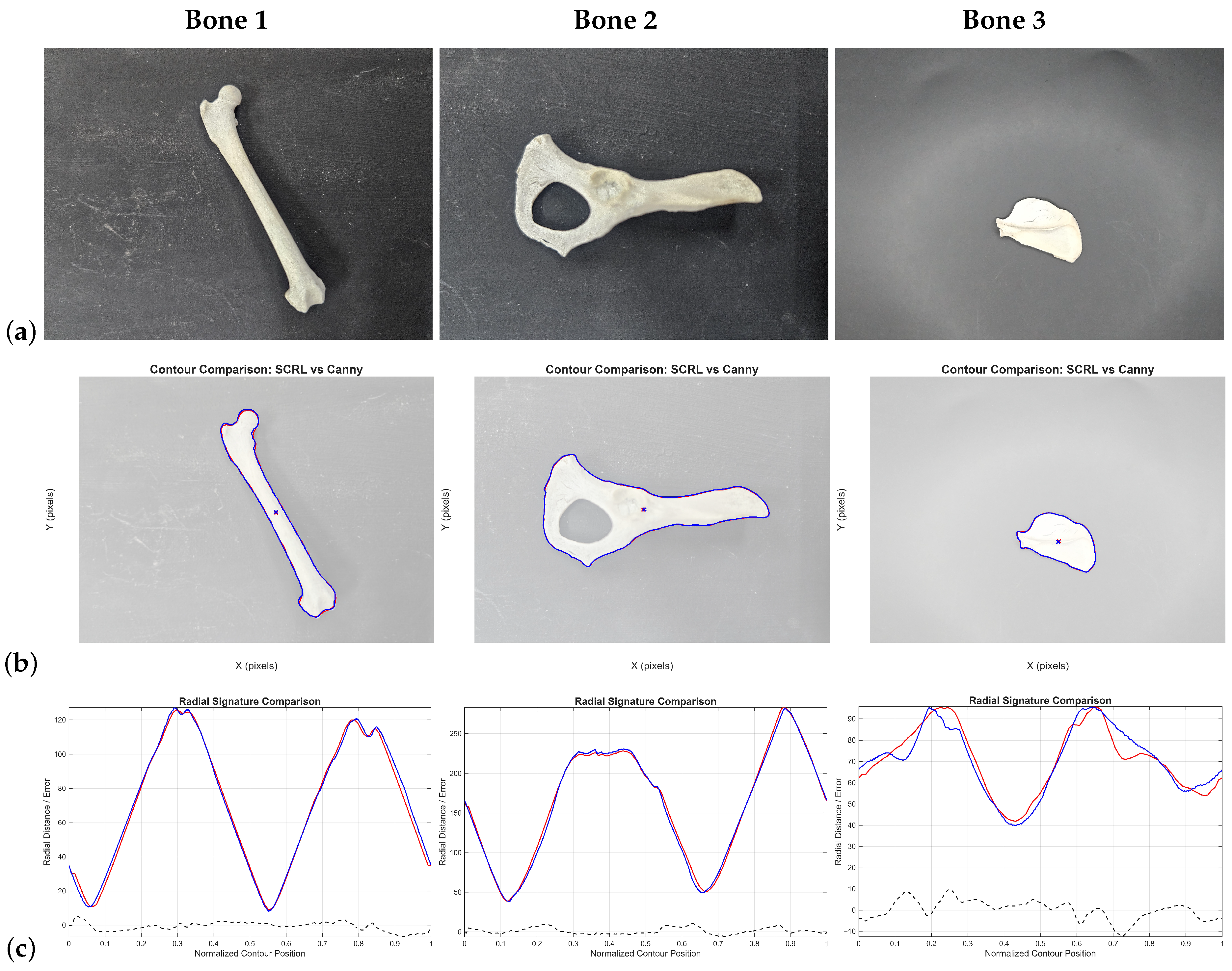 Applsci 16 00509 g019