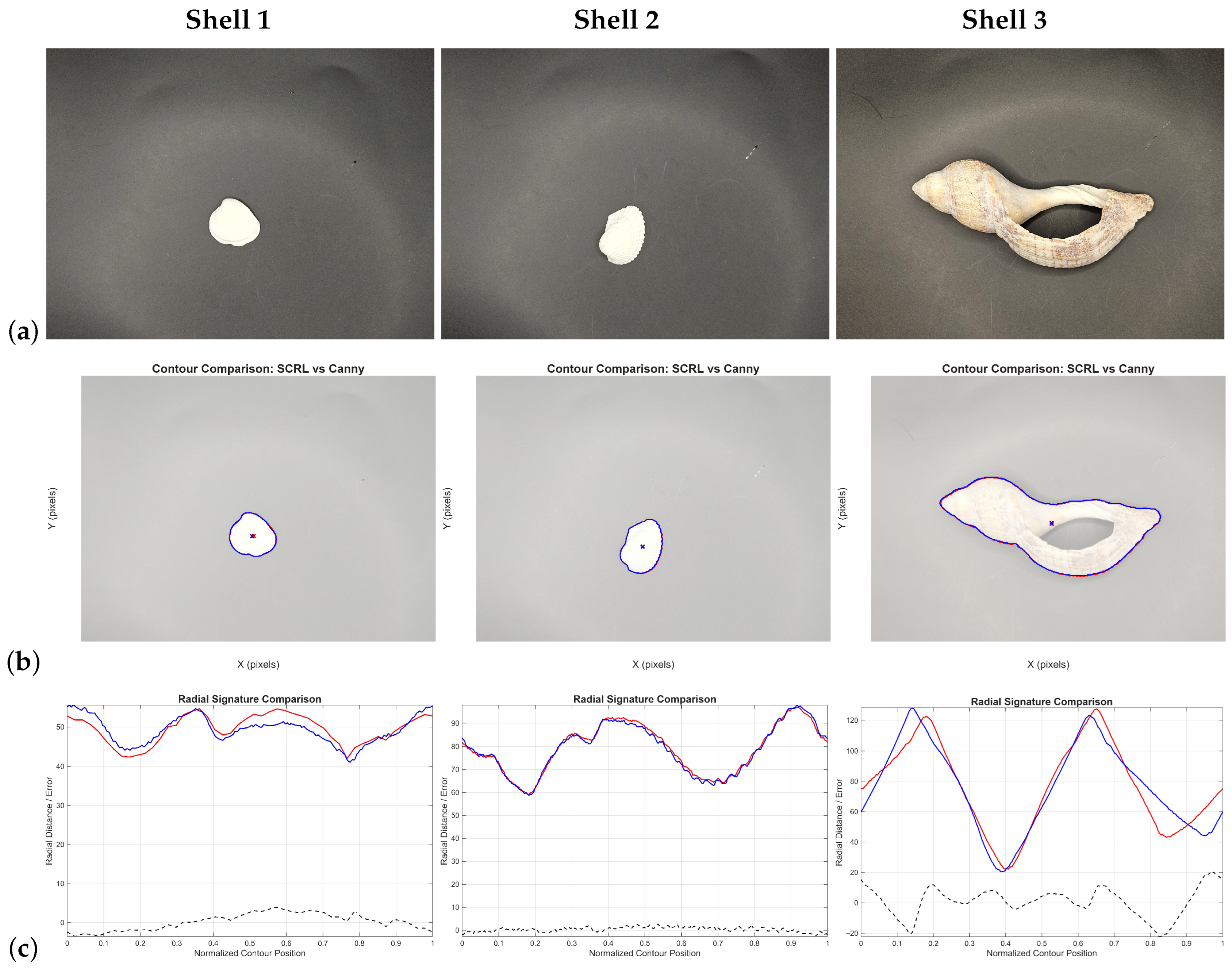 Applsci 16 00509 g021