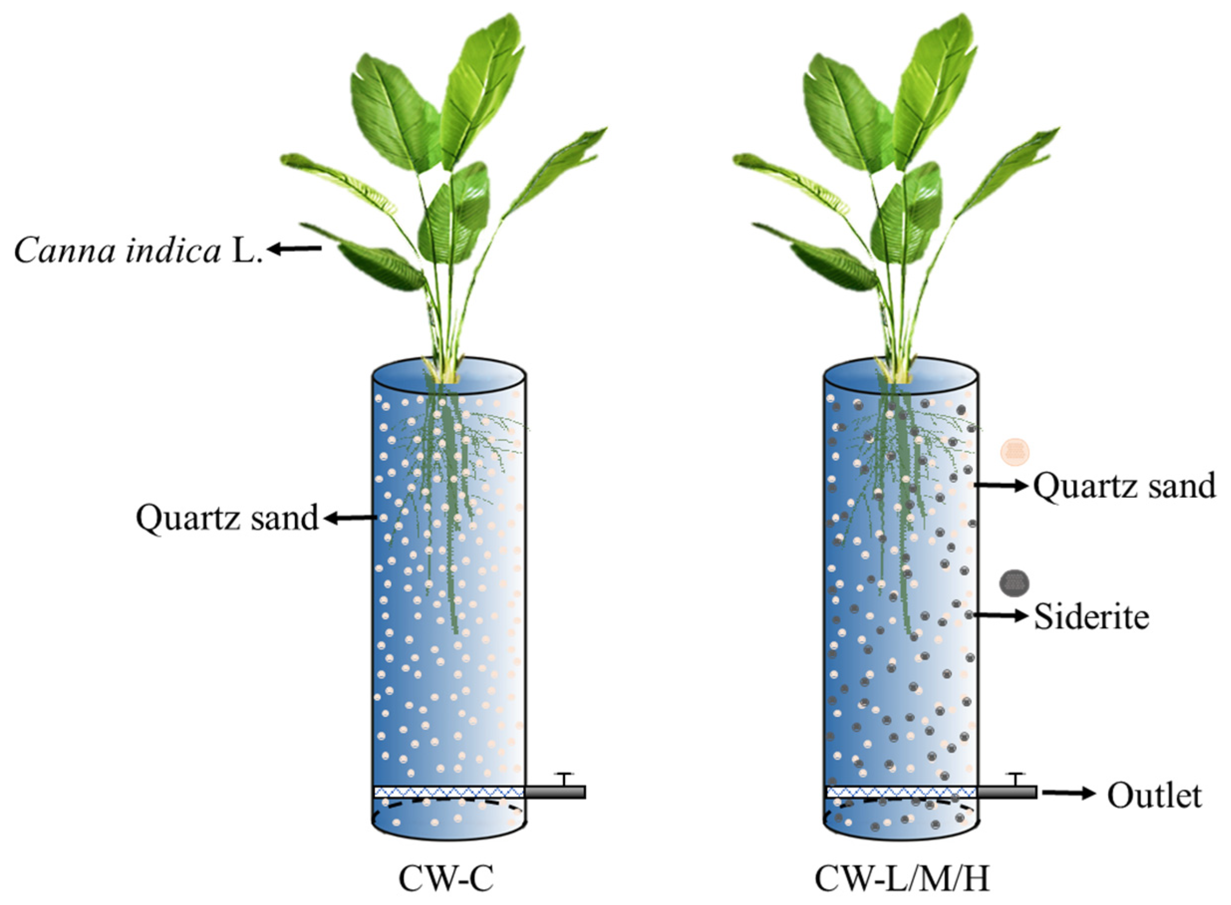 Applsci 16 00515 g002 Applsci 16 00515 g002