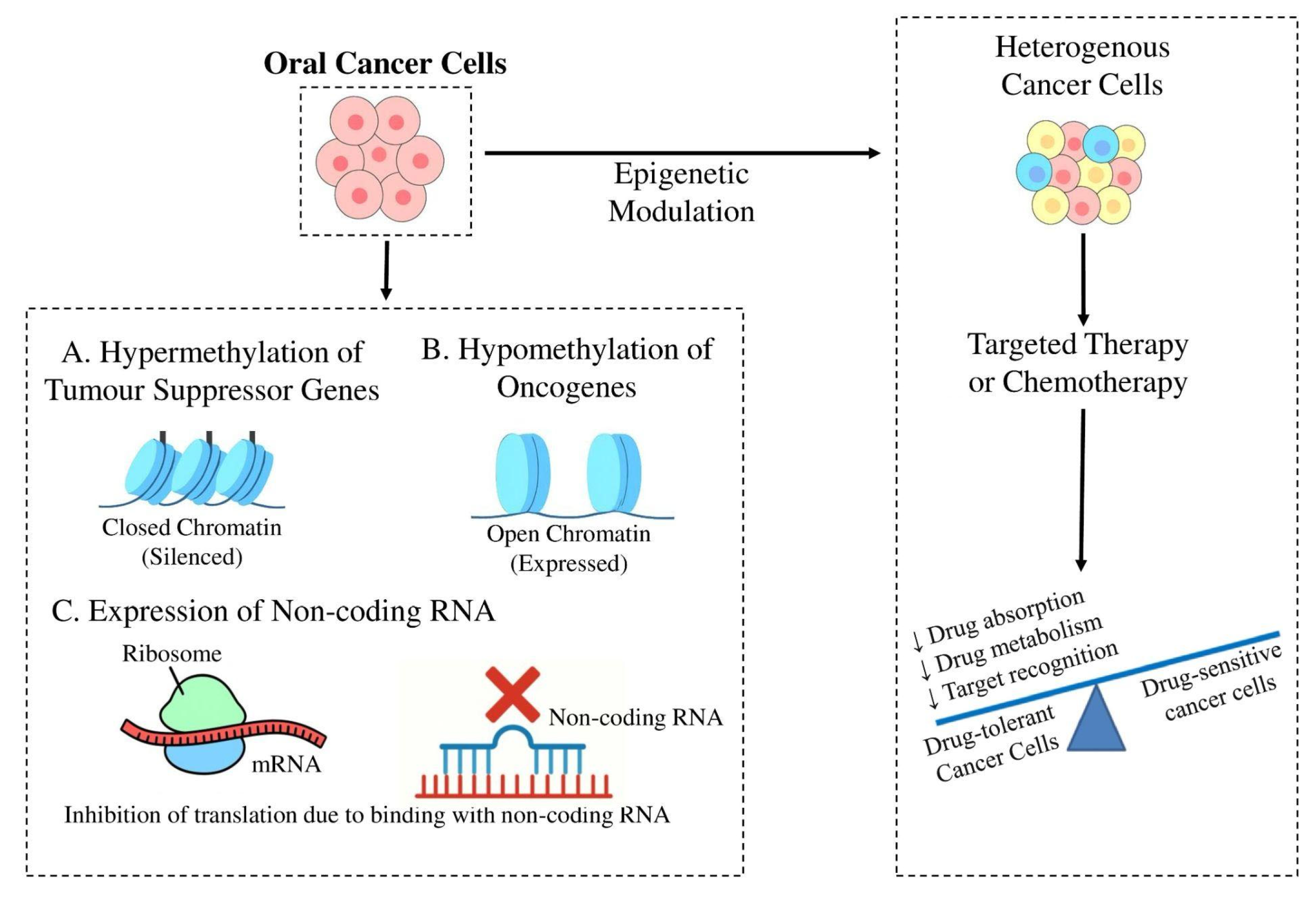 Applsci 16 00525 g001