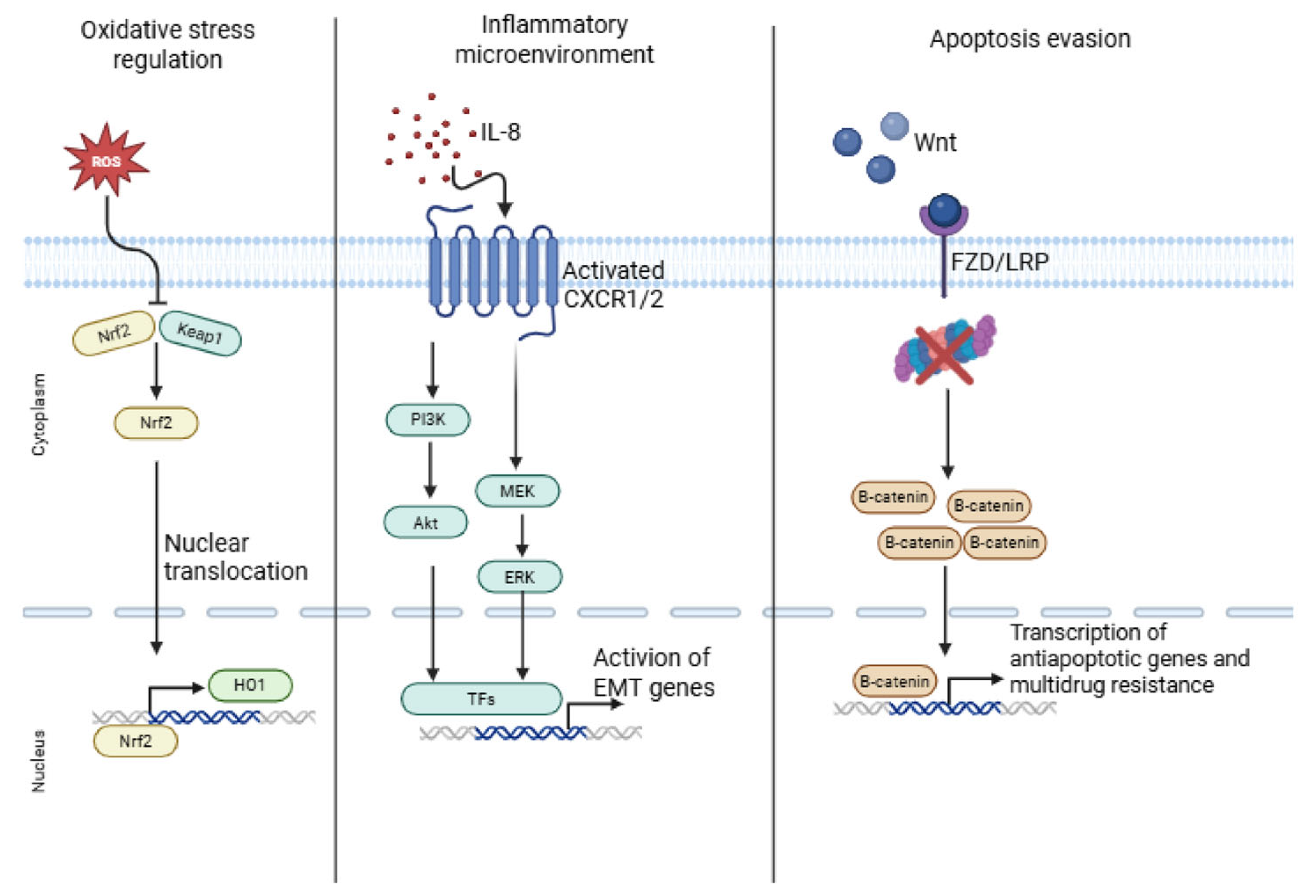 Applsci 16 00525 g002