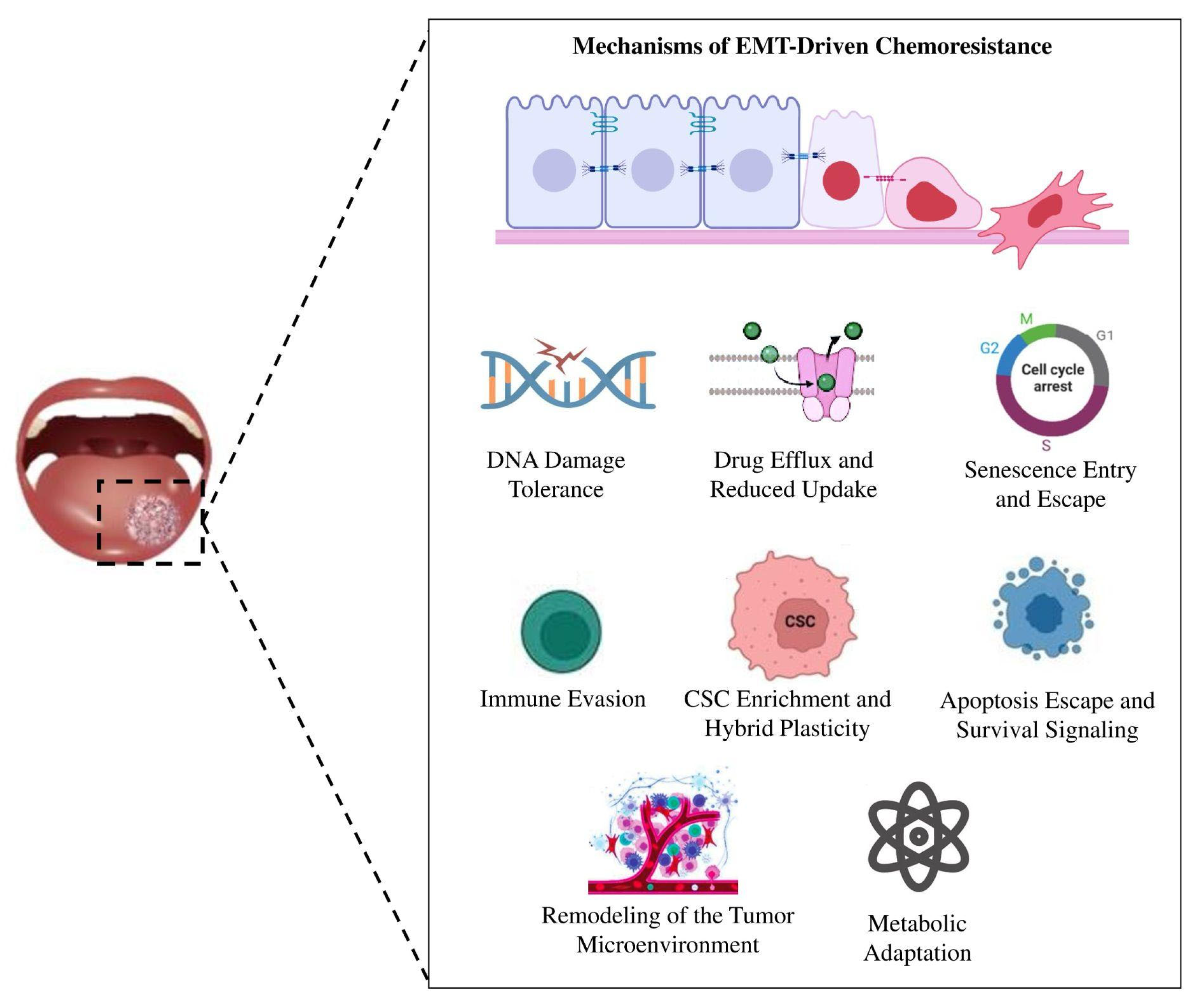 Applsci 16 00525 g003