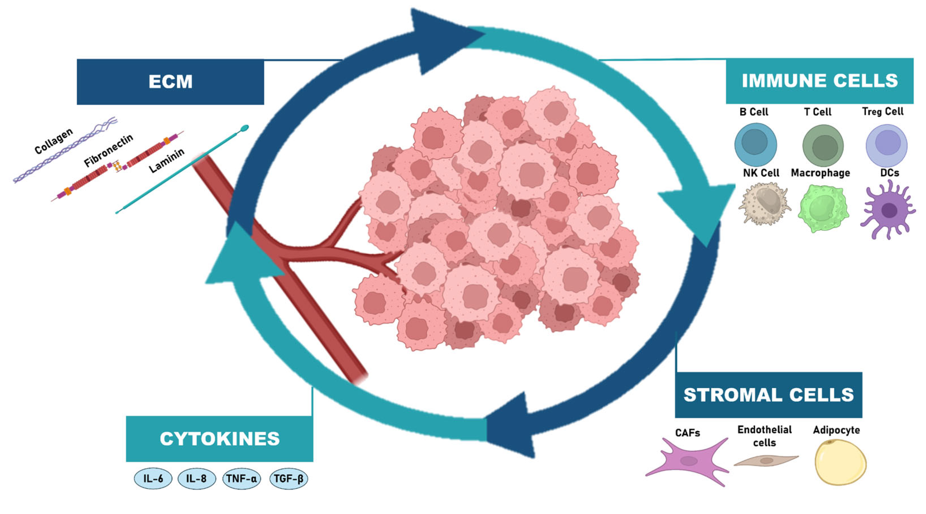 Applsci 16 00525 g004