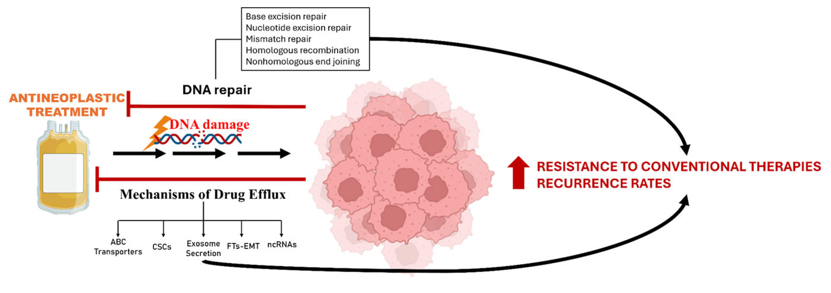 Applsci 16 00525 g005