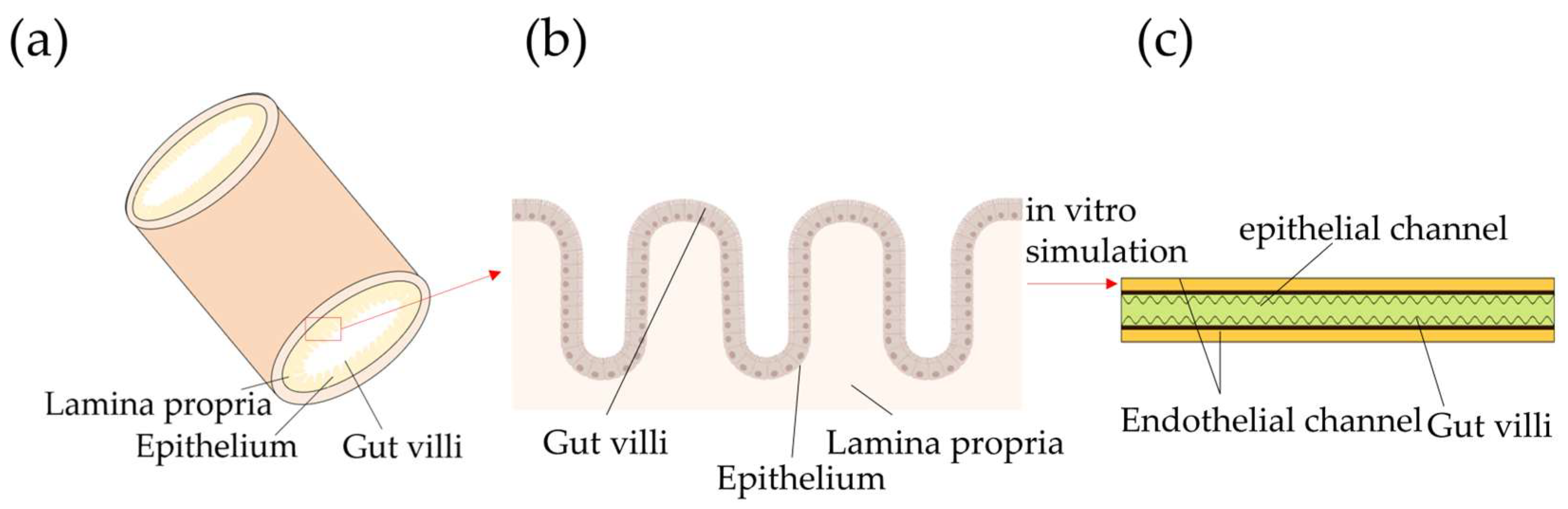 Applsci 16 00571 g001
