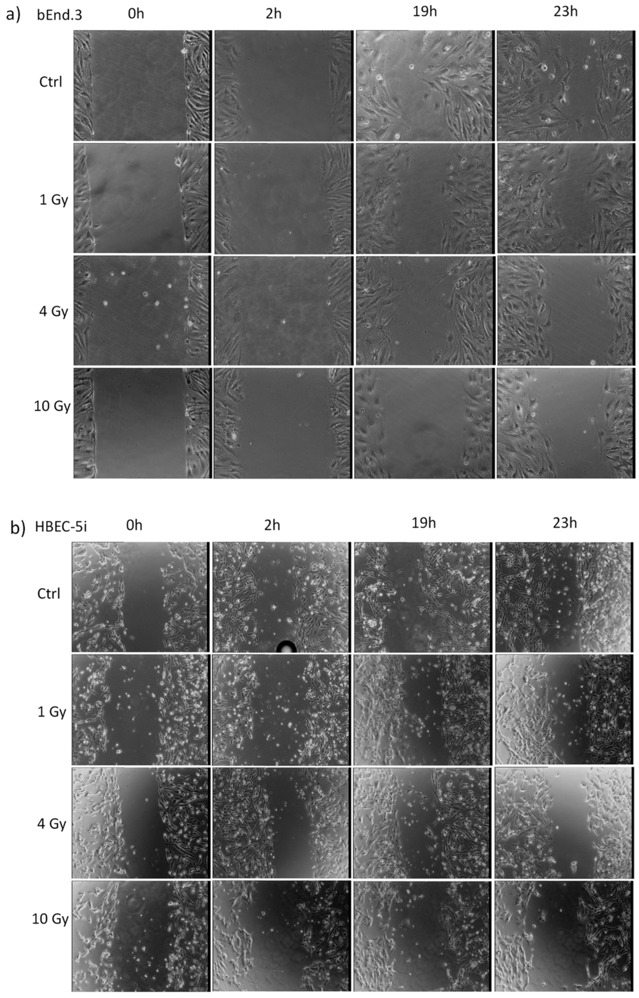 Applsci 16 00587 g011 Applsci 16 00587 g011