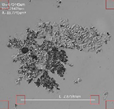 Applsci 16 00642 i007 Applsci 16 00642 i007