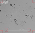 Applsci 16 00642 i009 Applsci 16 00642 i009