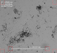 Applsci 16 00642 i010 Applsci 16 00642 i010