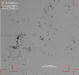 Applsci 16 00642 i015 Applsci 16 00642 i015