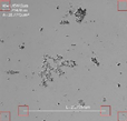 Applsci 16 00642 i016 Applsci 16 00642 i016