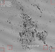 Applsci 16 00642 i018 Applsci 16 00642 i018