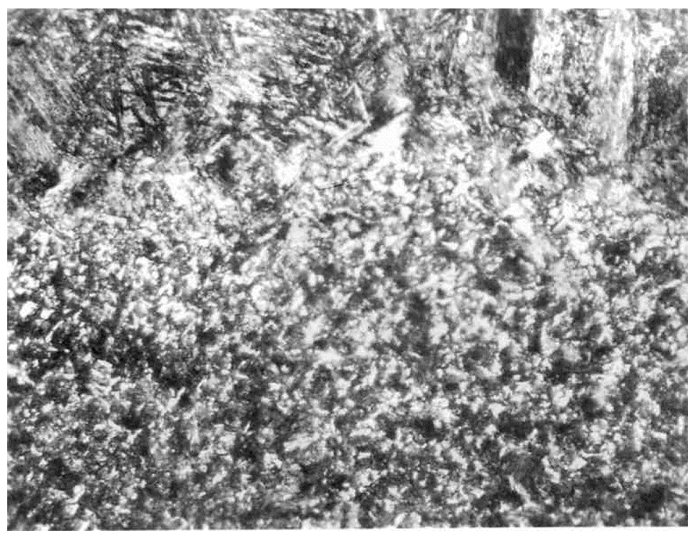 Applsci 16 00690 g017