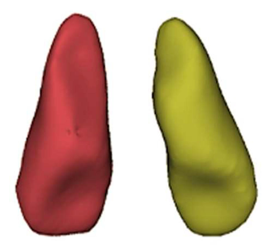 Applsci 16 00771 g014 Applsci 16 00771 g014