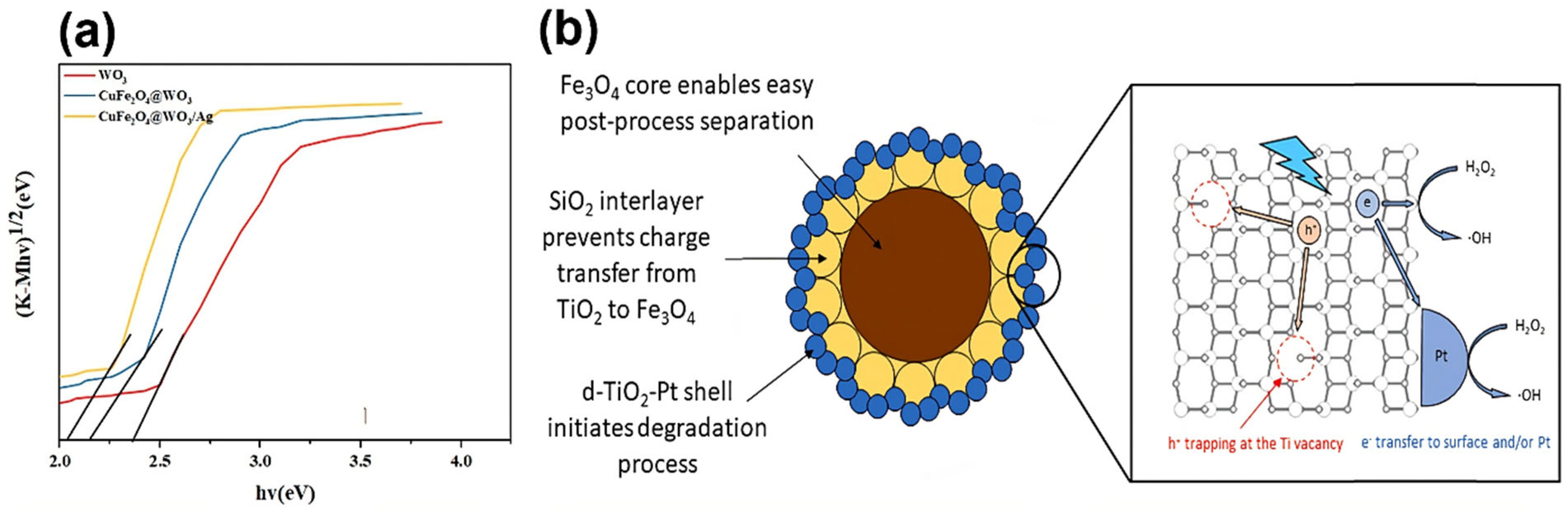 Applsci 16 00844 g002